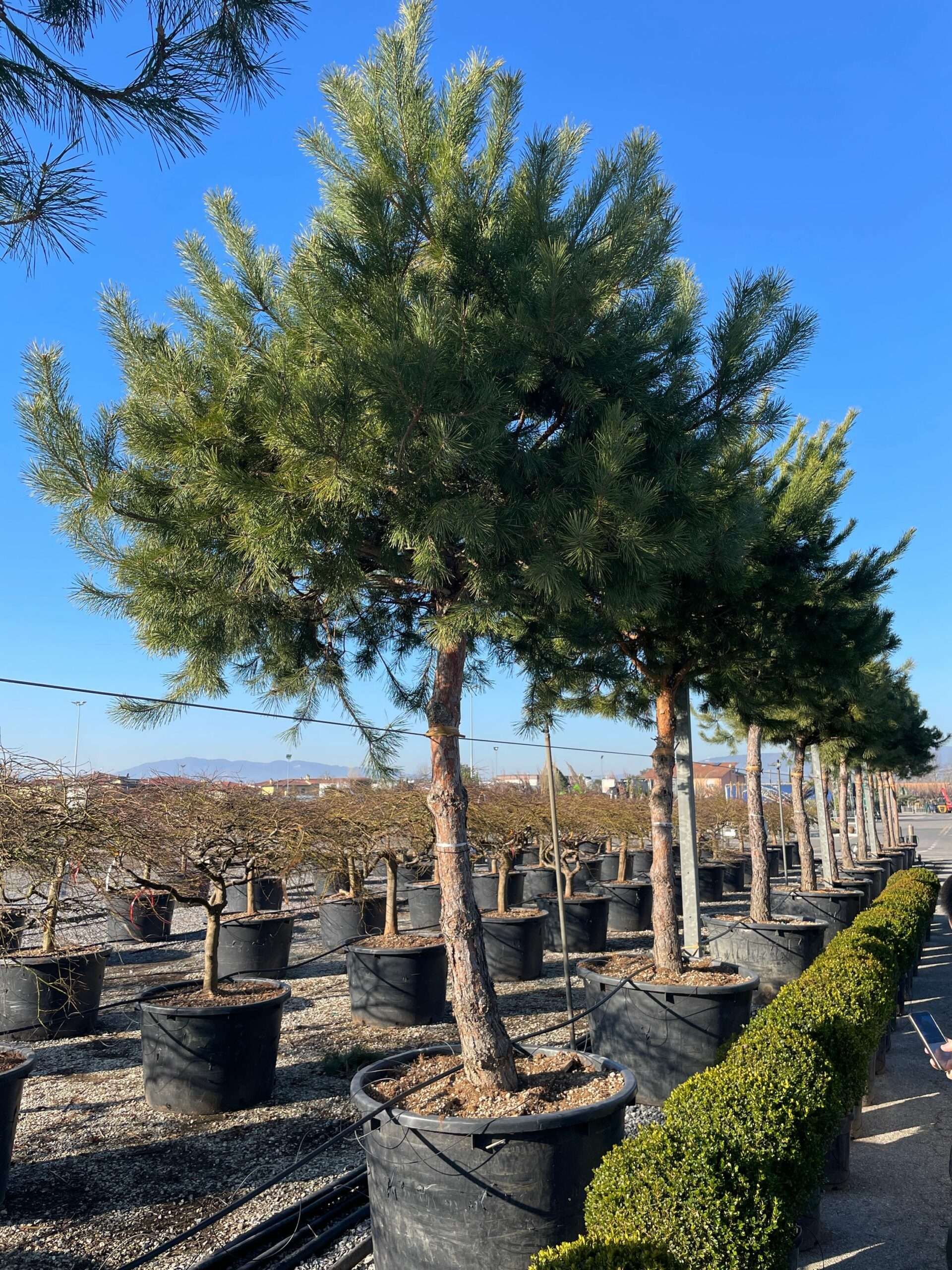 1675155136 scaled e848f4c7