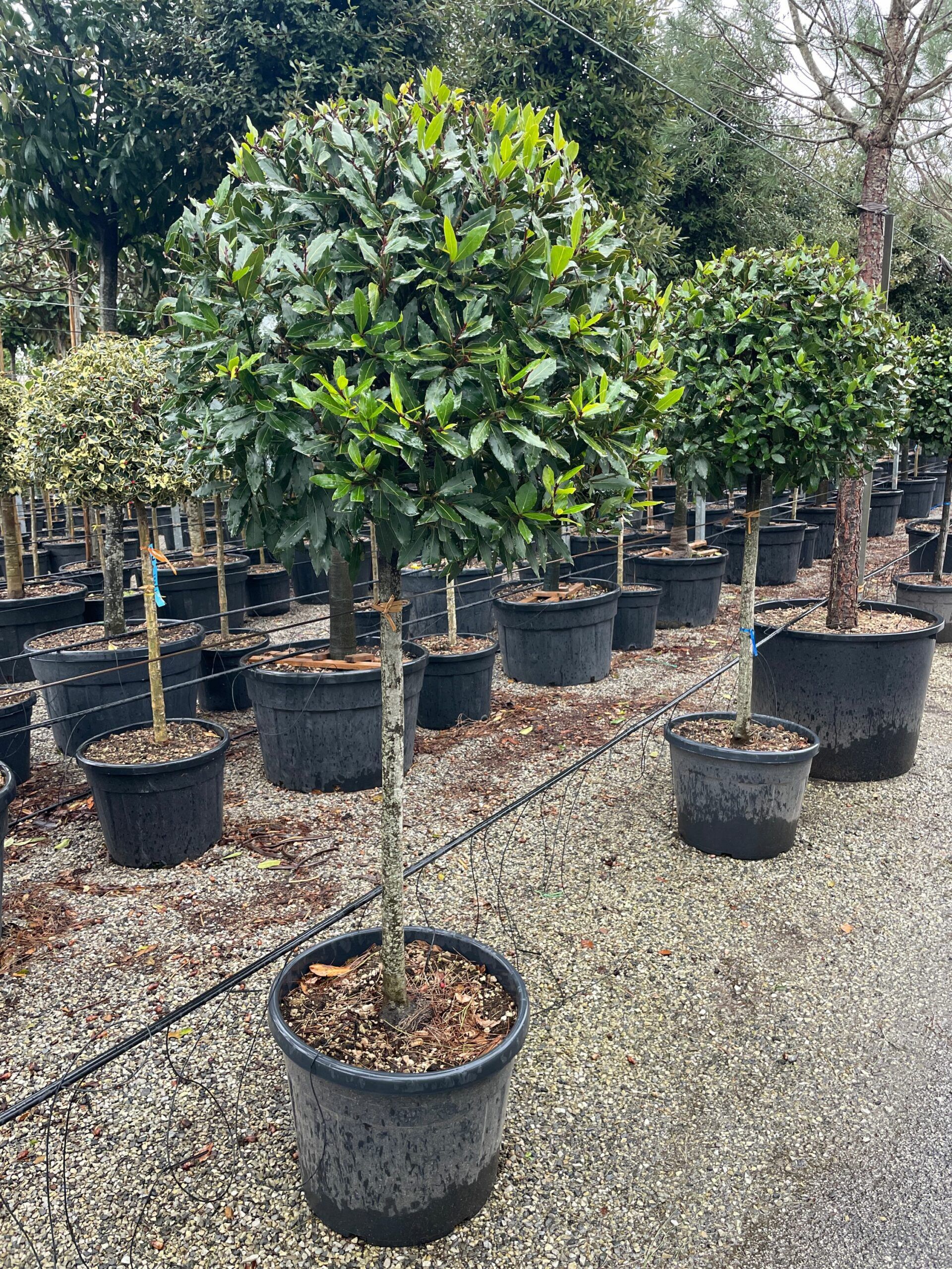 1677400151 1 scaled e873f143