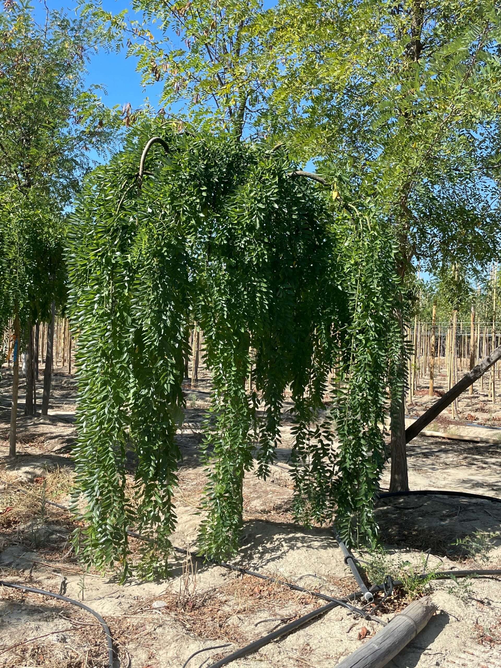 1694249137 scaled e891b4ef