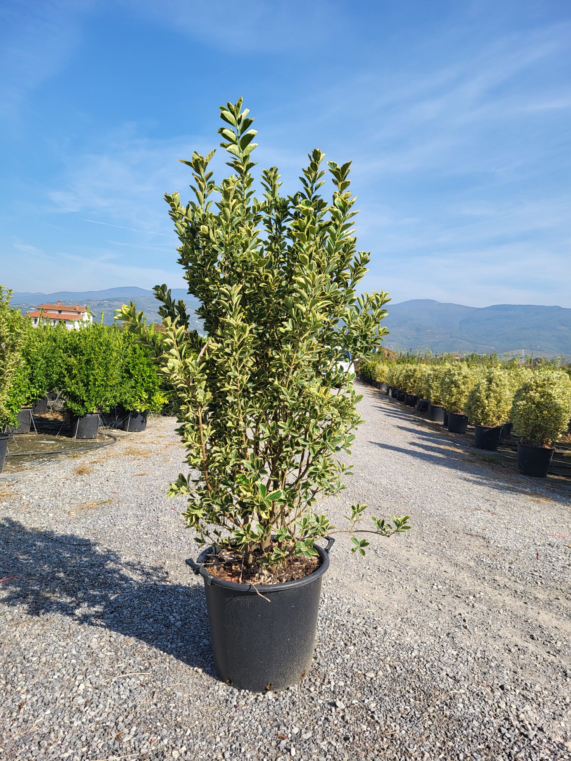 1696398029 scaled e8d02ef4