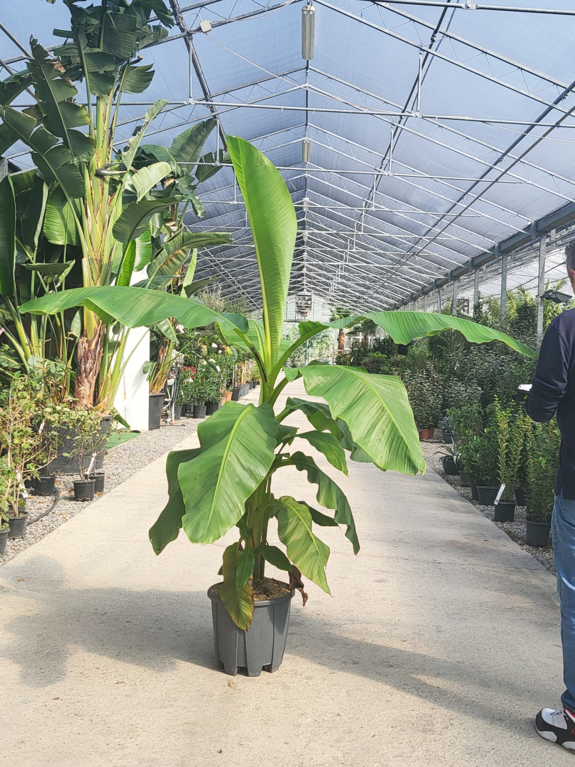 1696398328 scaled e877a2e5