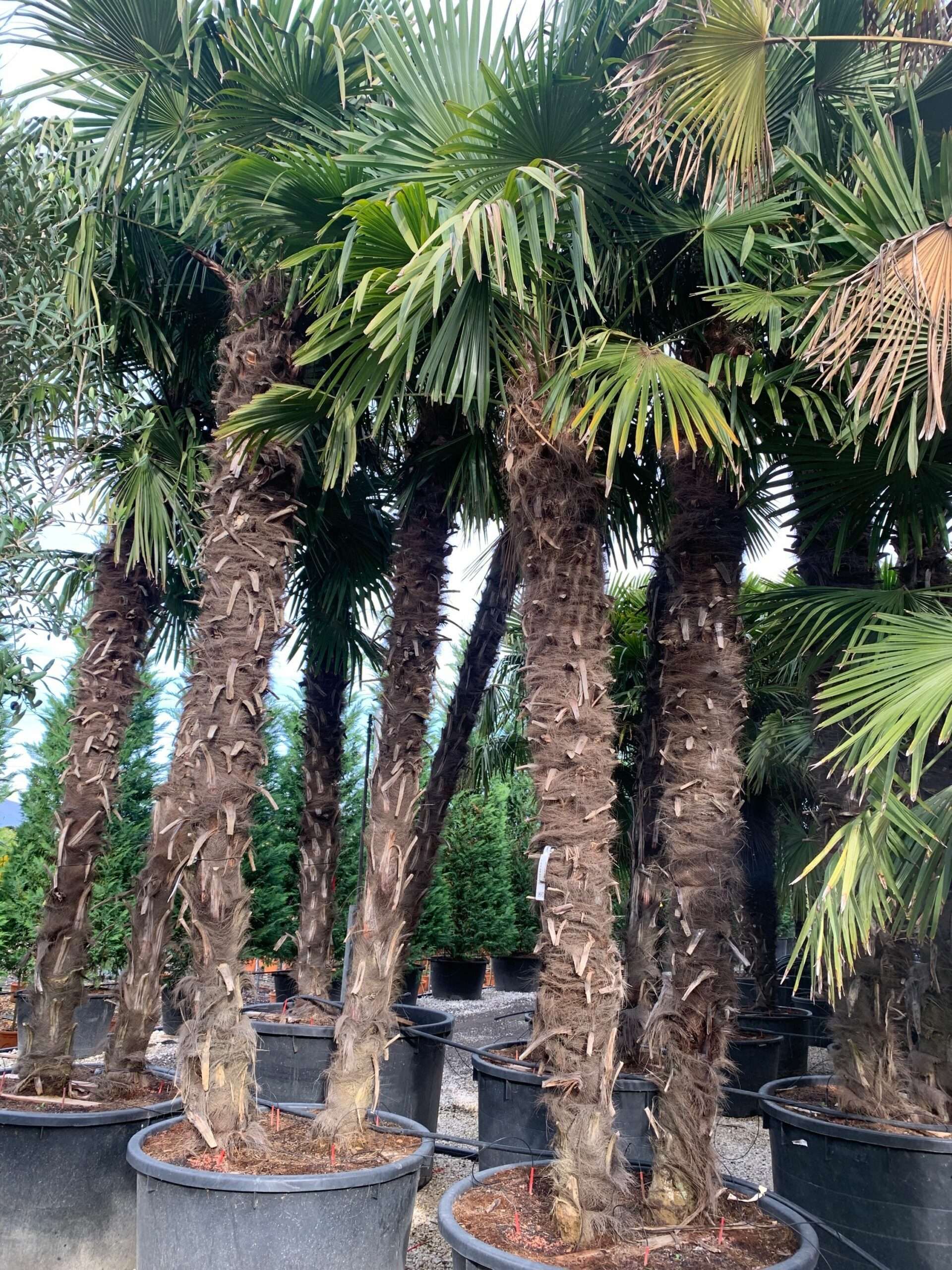 1636101175 scaled e94c9e08