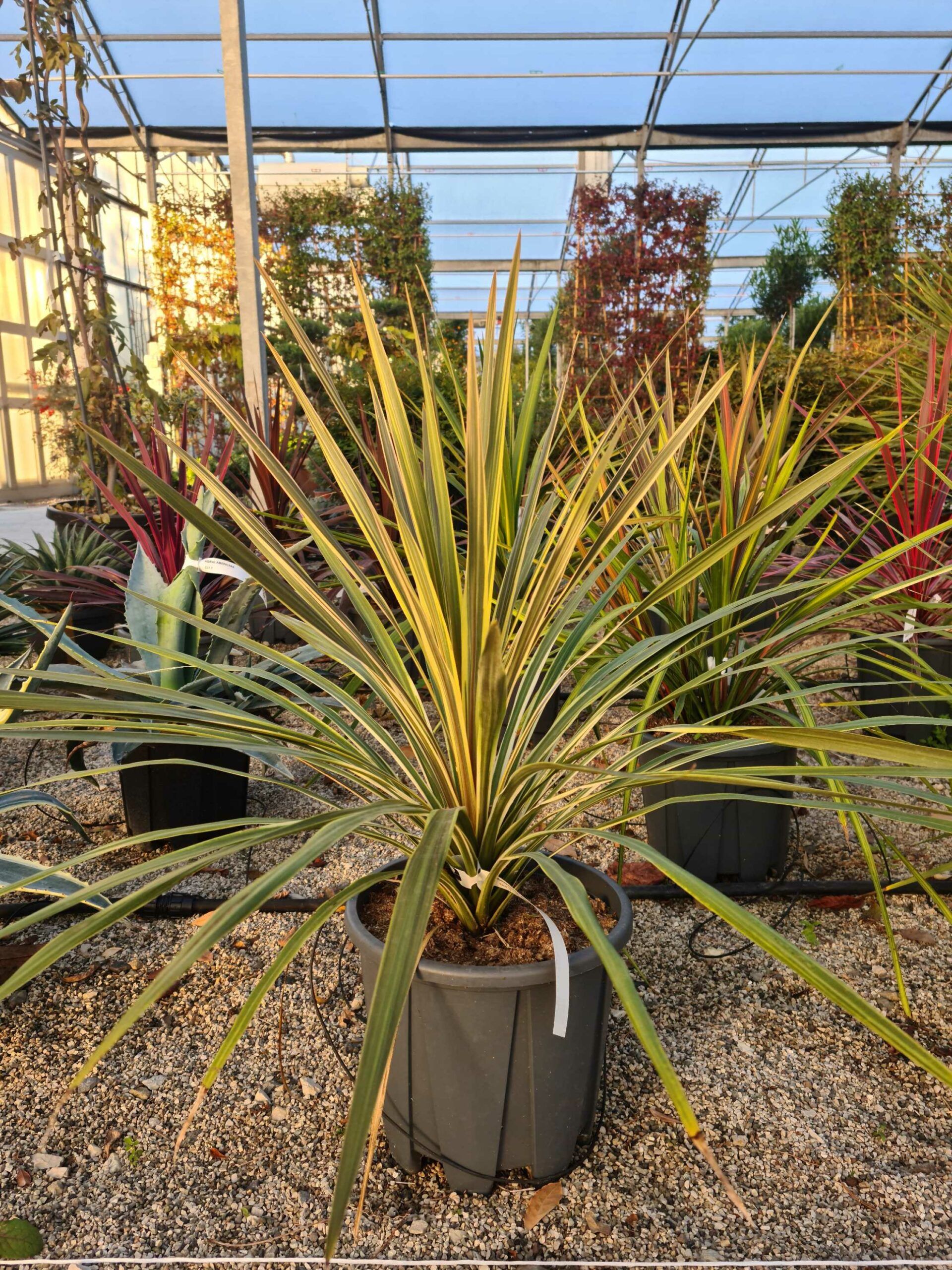 1639467584 scaled e9ded398