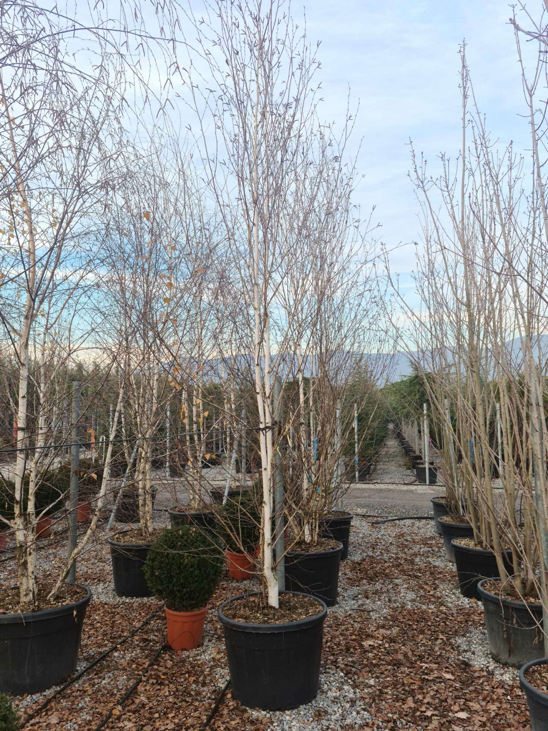 1639493300 scaled e988342c