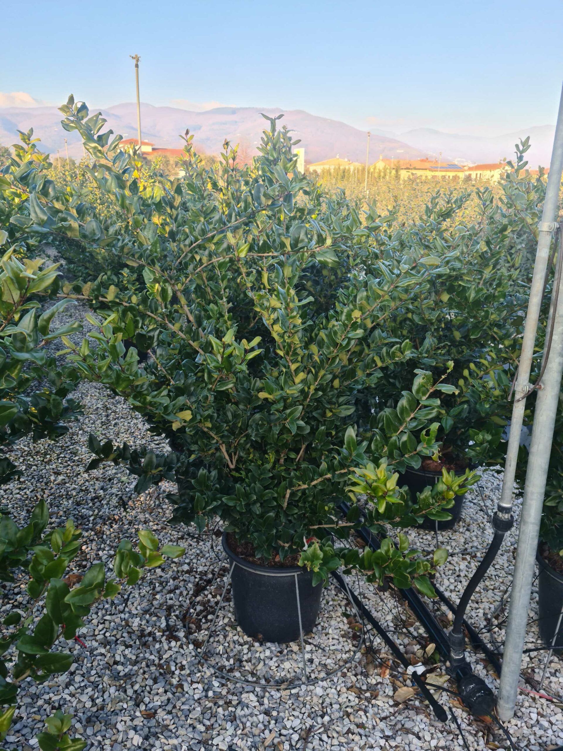 1642778209 scaled e9d337a5