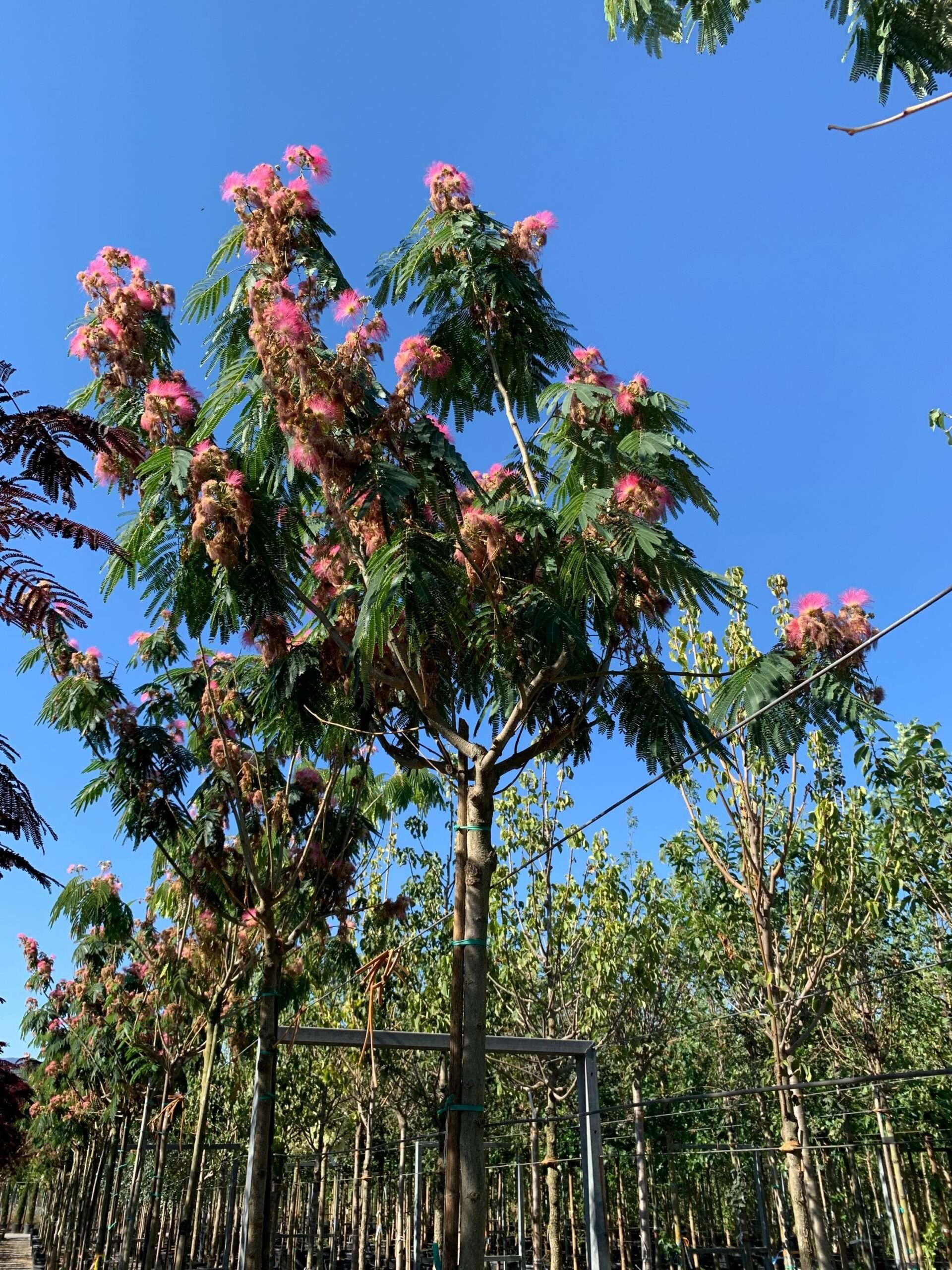 1657898872 scaled e9f5a197