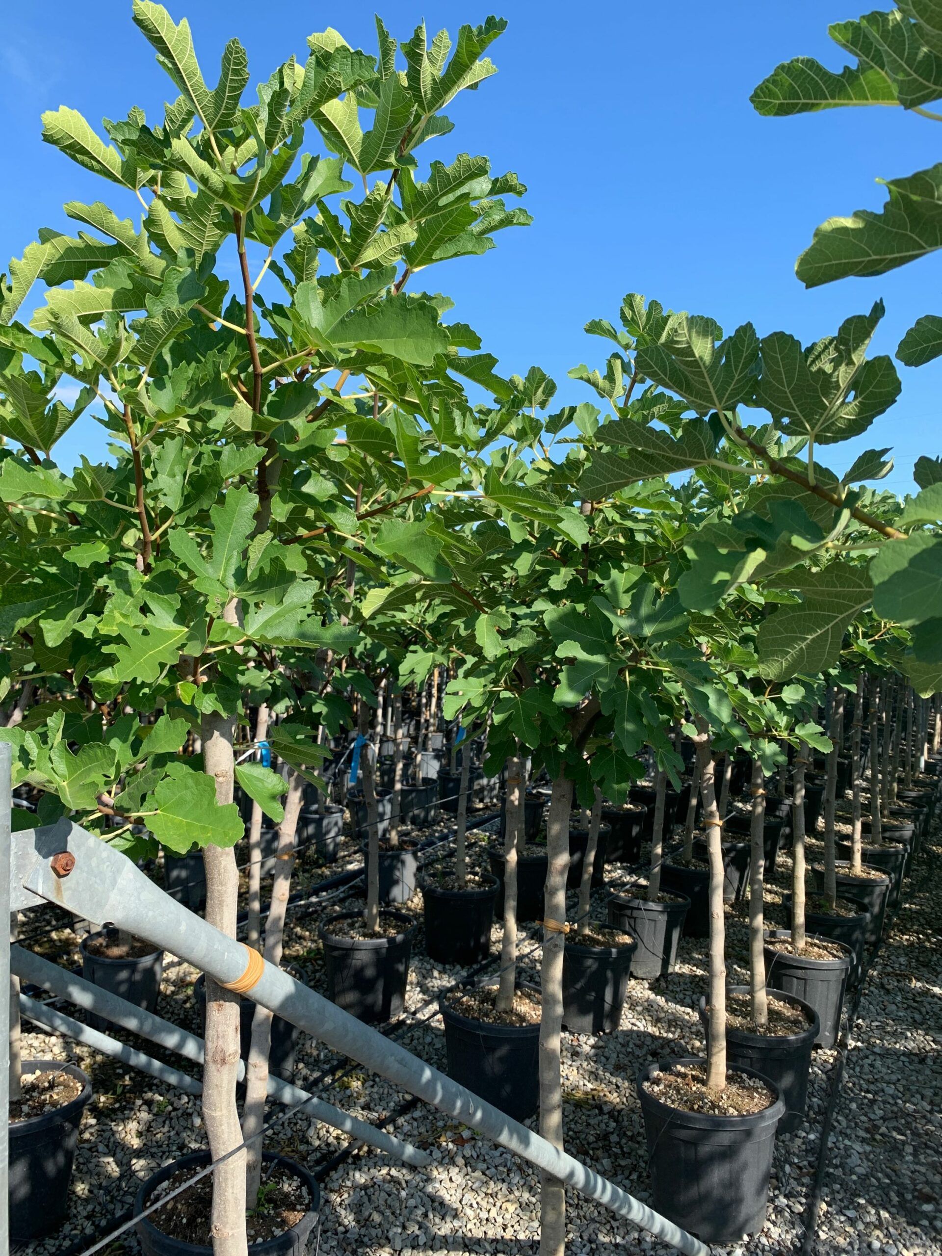 1662105337 scaled e9e6c610