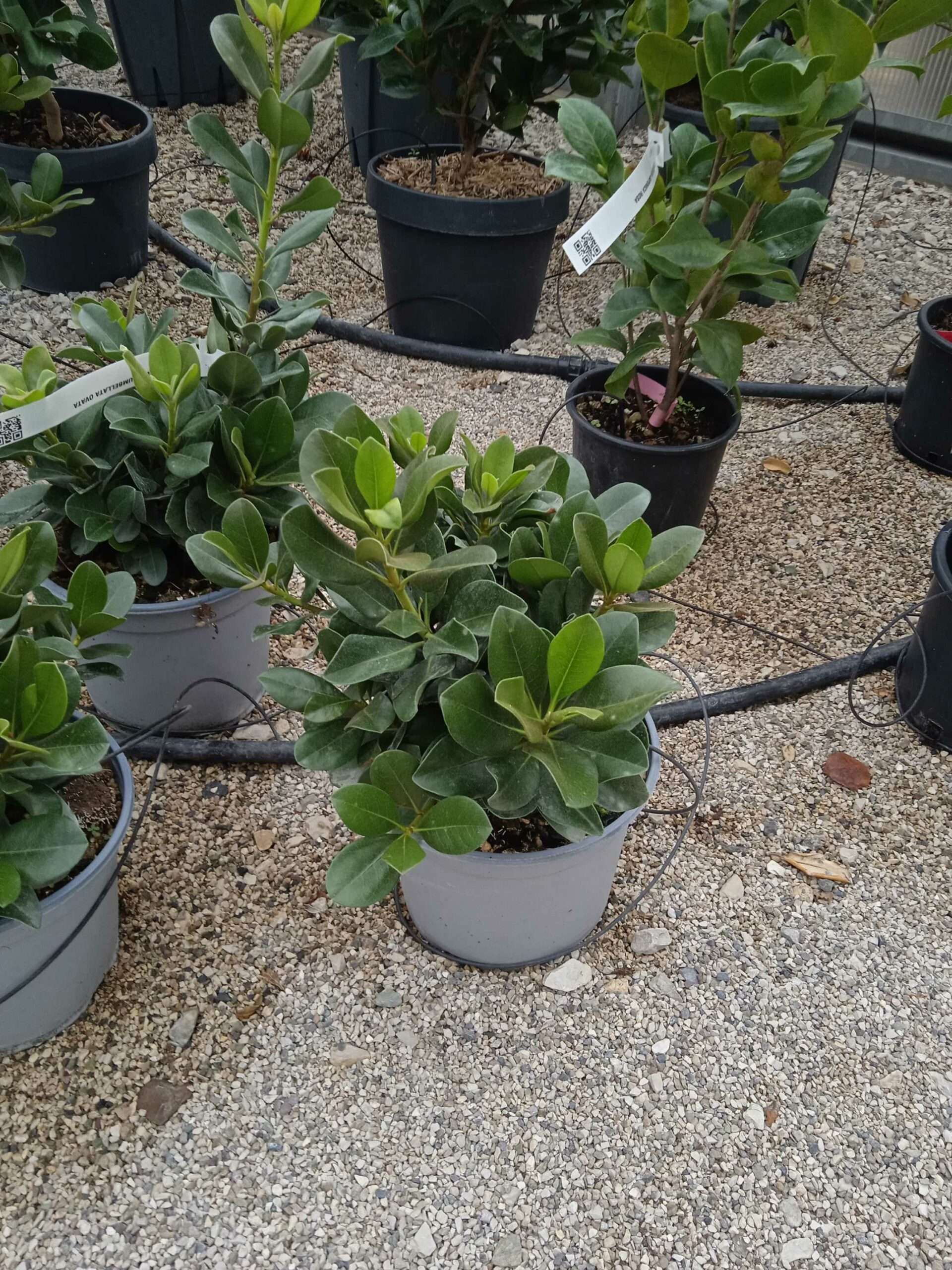 1662188555 scaled e9ef8afc