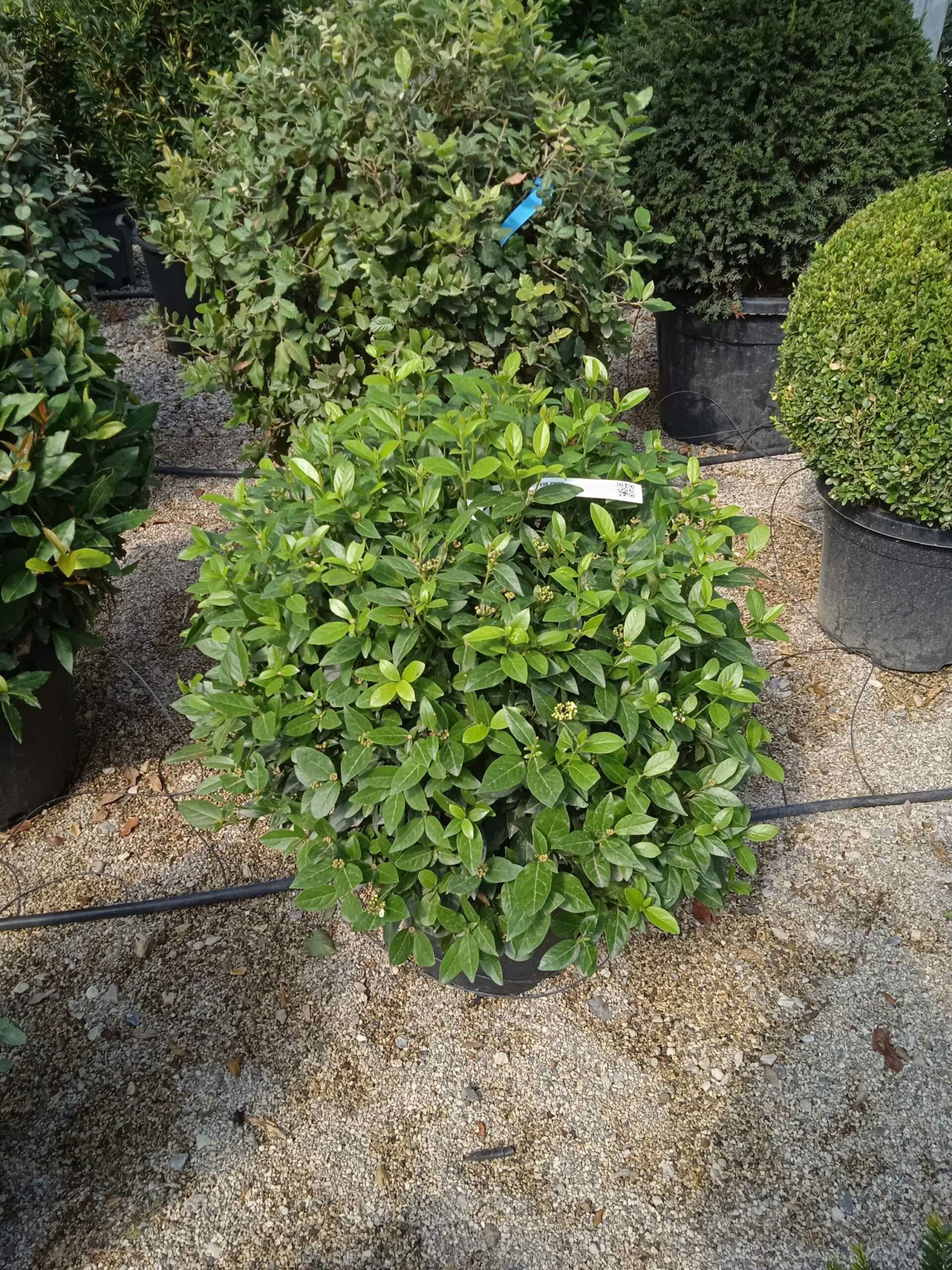 1662369616 scaled e9359d20