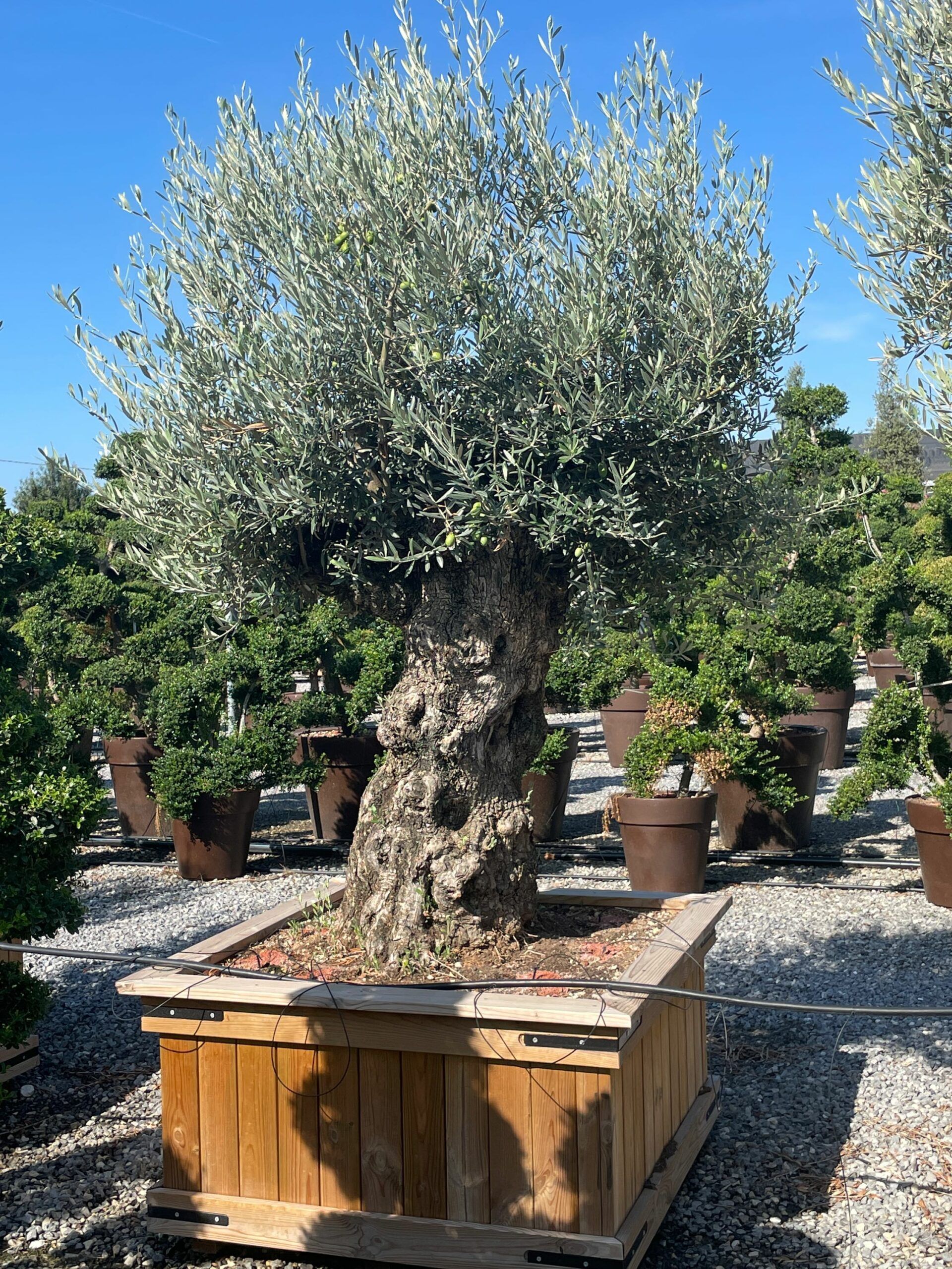 1676799230 scaled e9730070