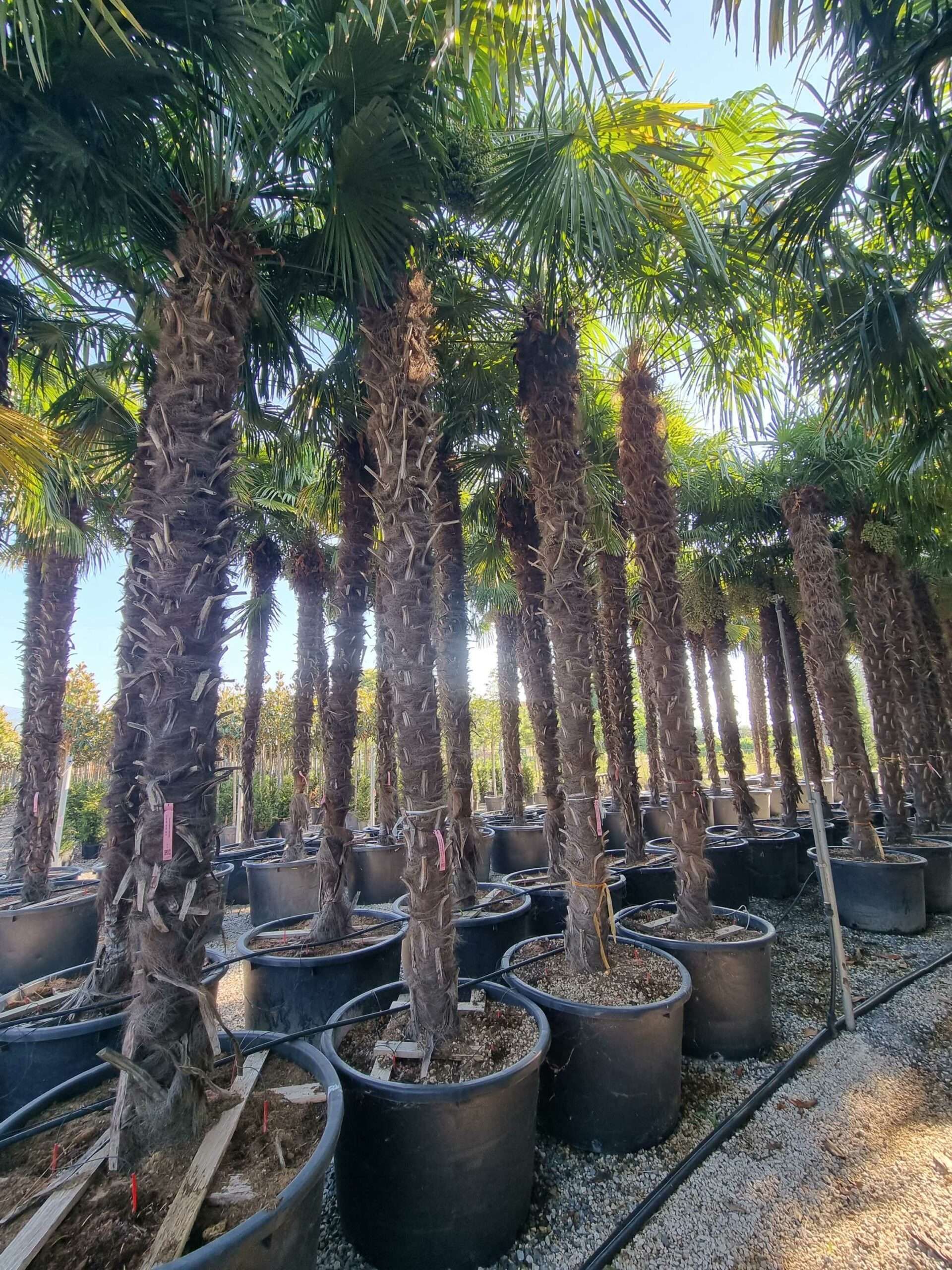 1692687524 1 scaled e97796ba