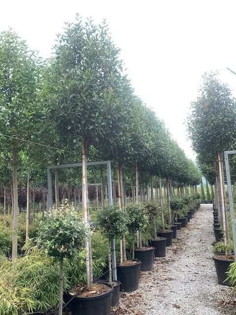 1608299984 rotated eac34bc3