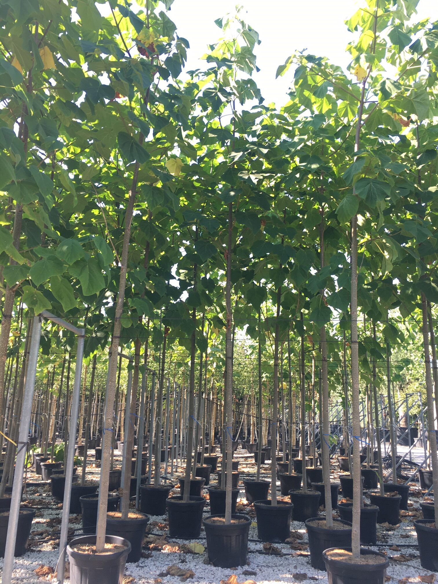 1608656083 rotated ea5426df