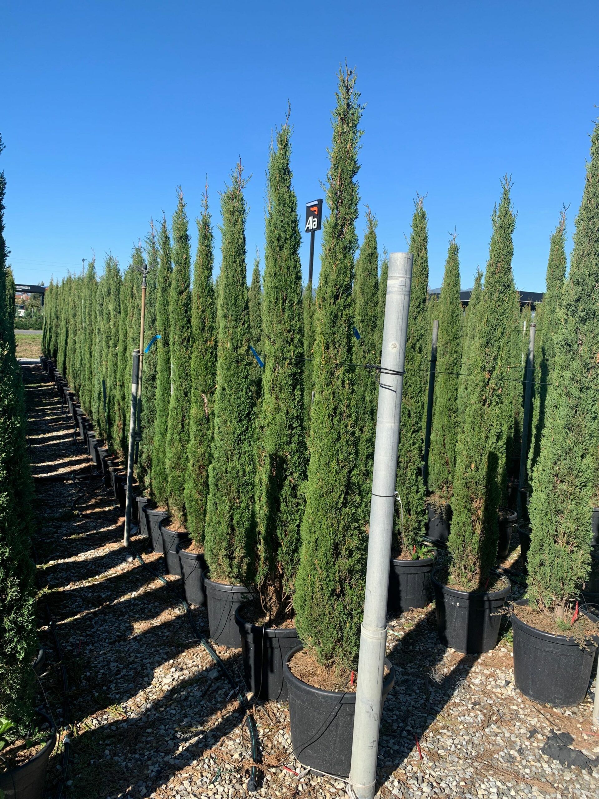 1634289017 scaled ea612409