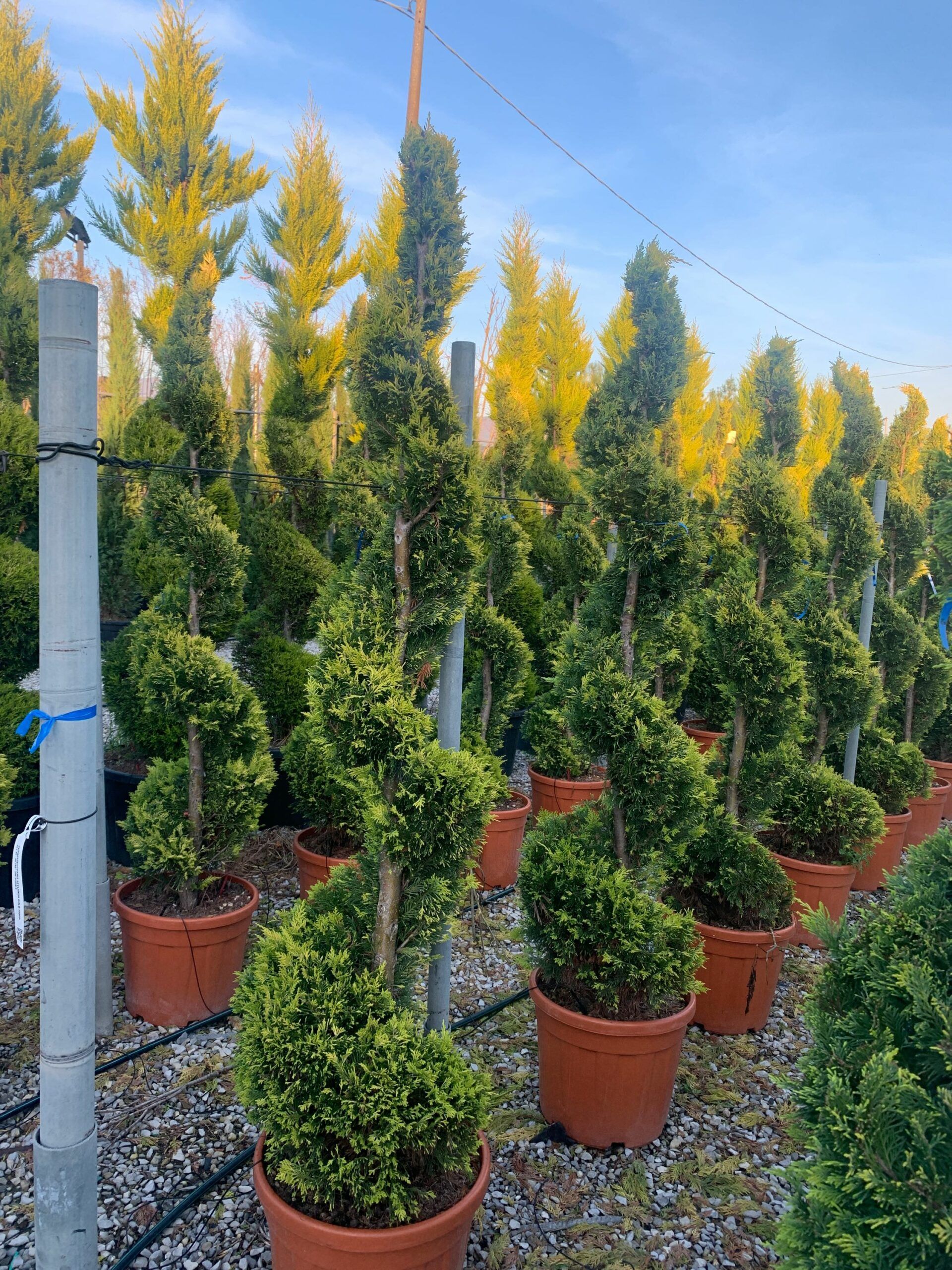 1637334401 scaled eaa048a7