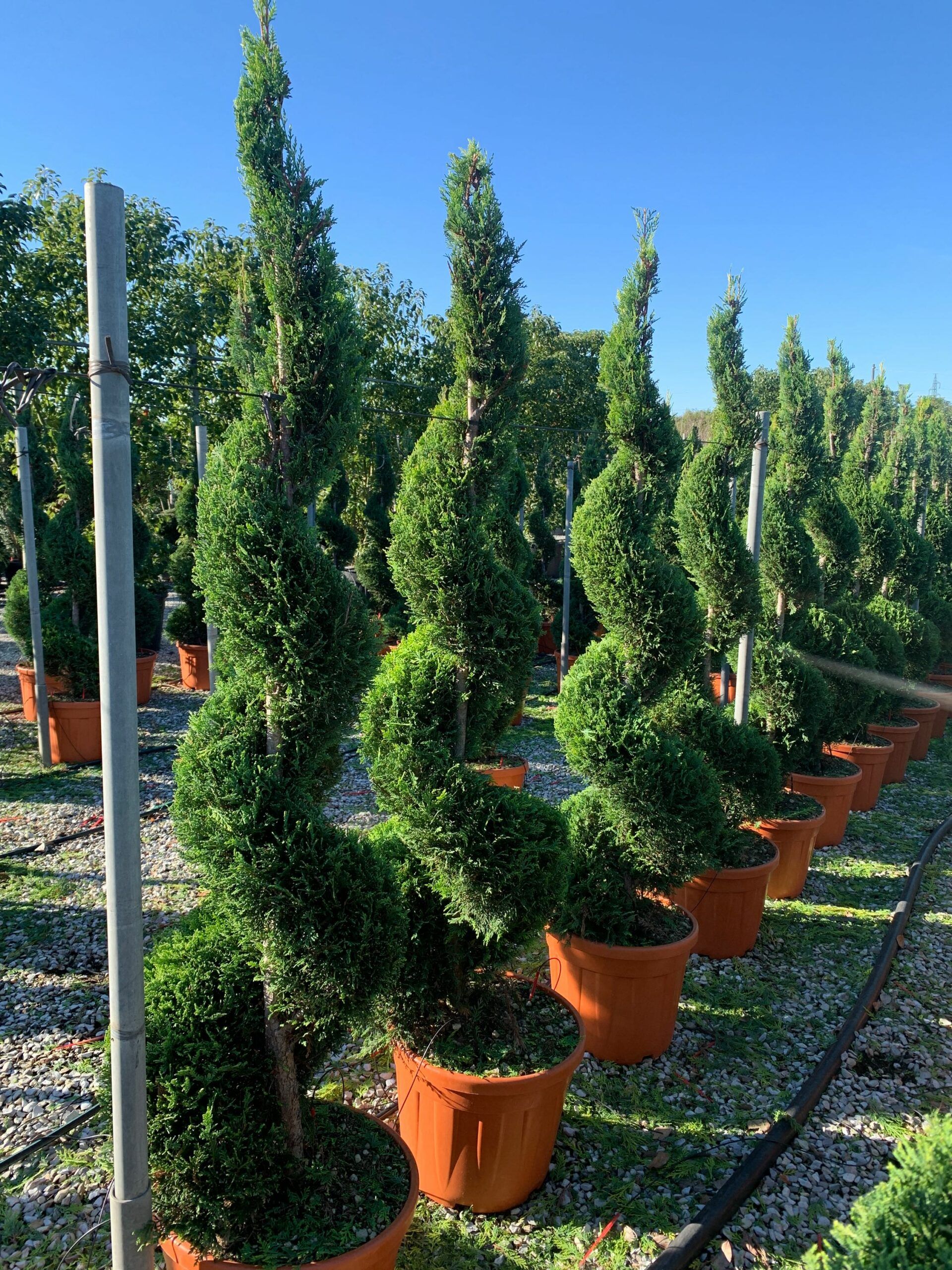 1637746925 scaled ea4a8c3f