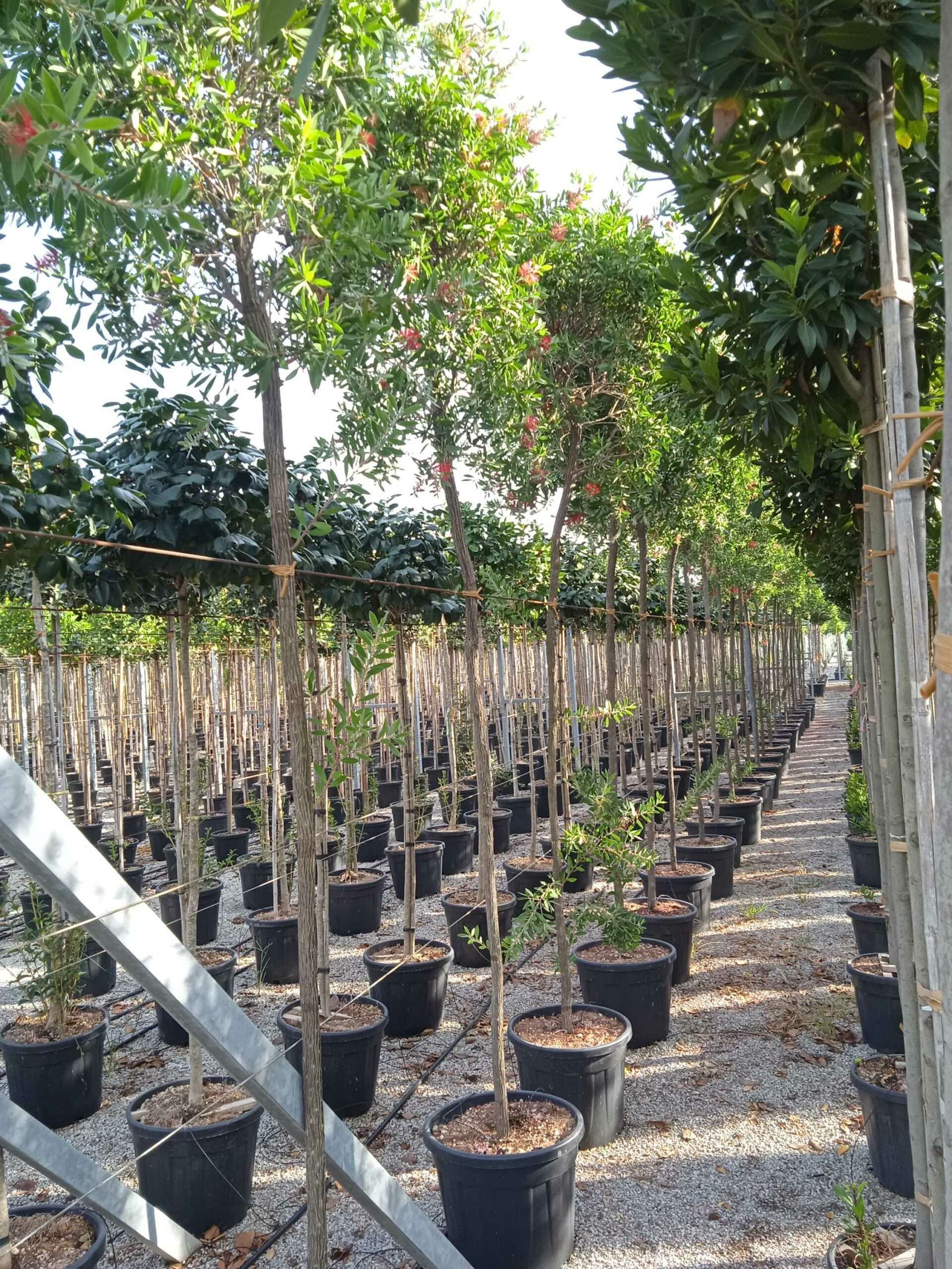 1662132126 scaled ea710c1d