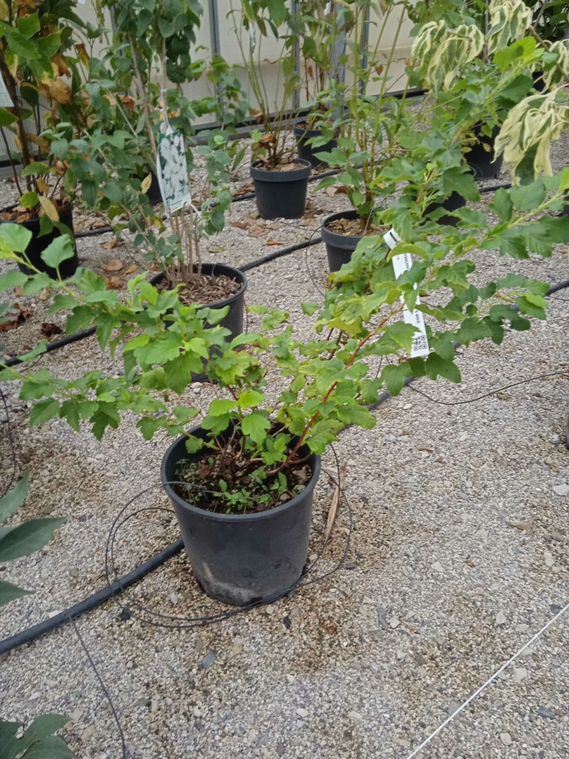 1662191232 scaled ea629f2f