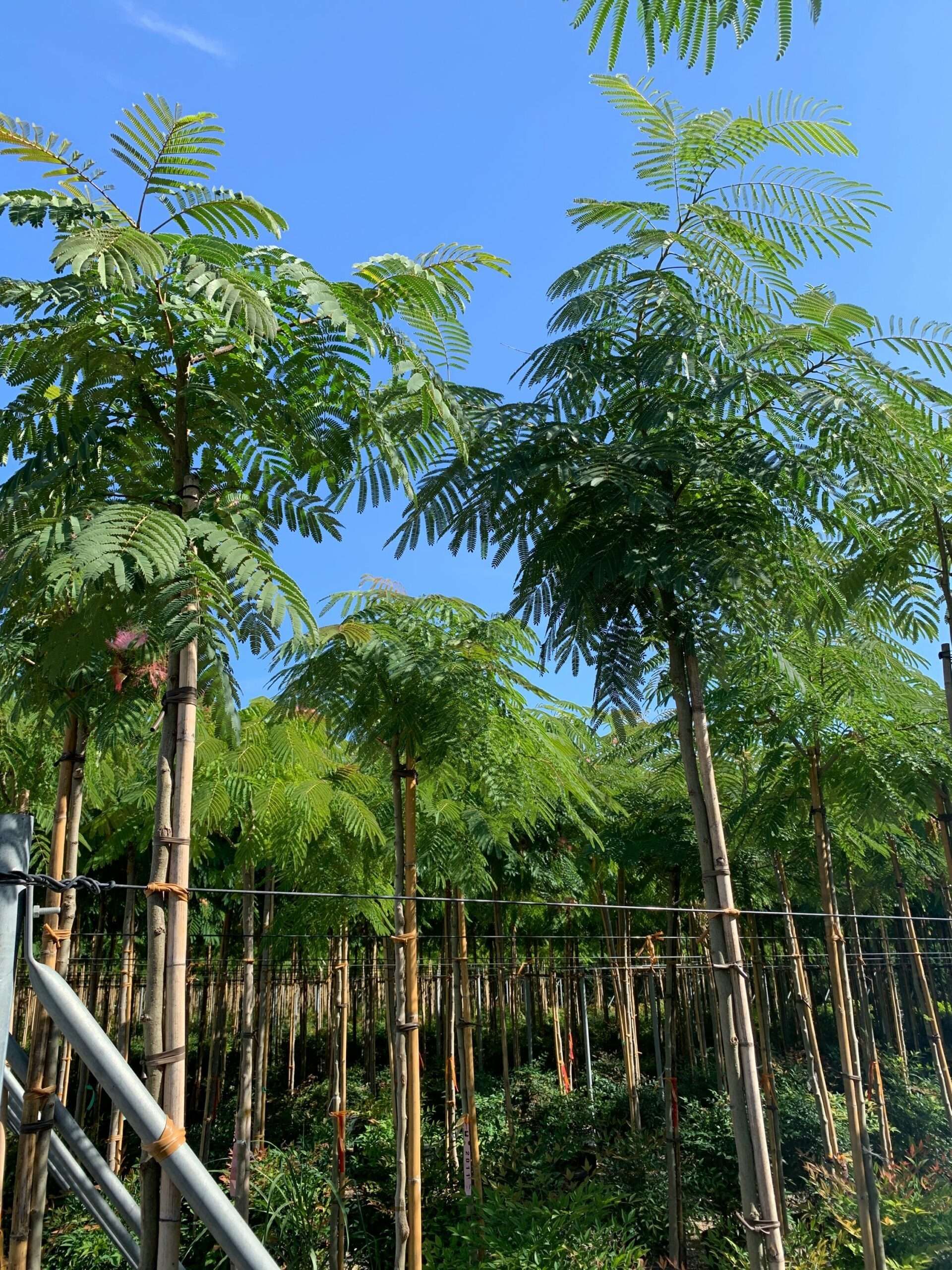 1662454389 scaled ea223c10