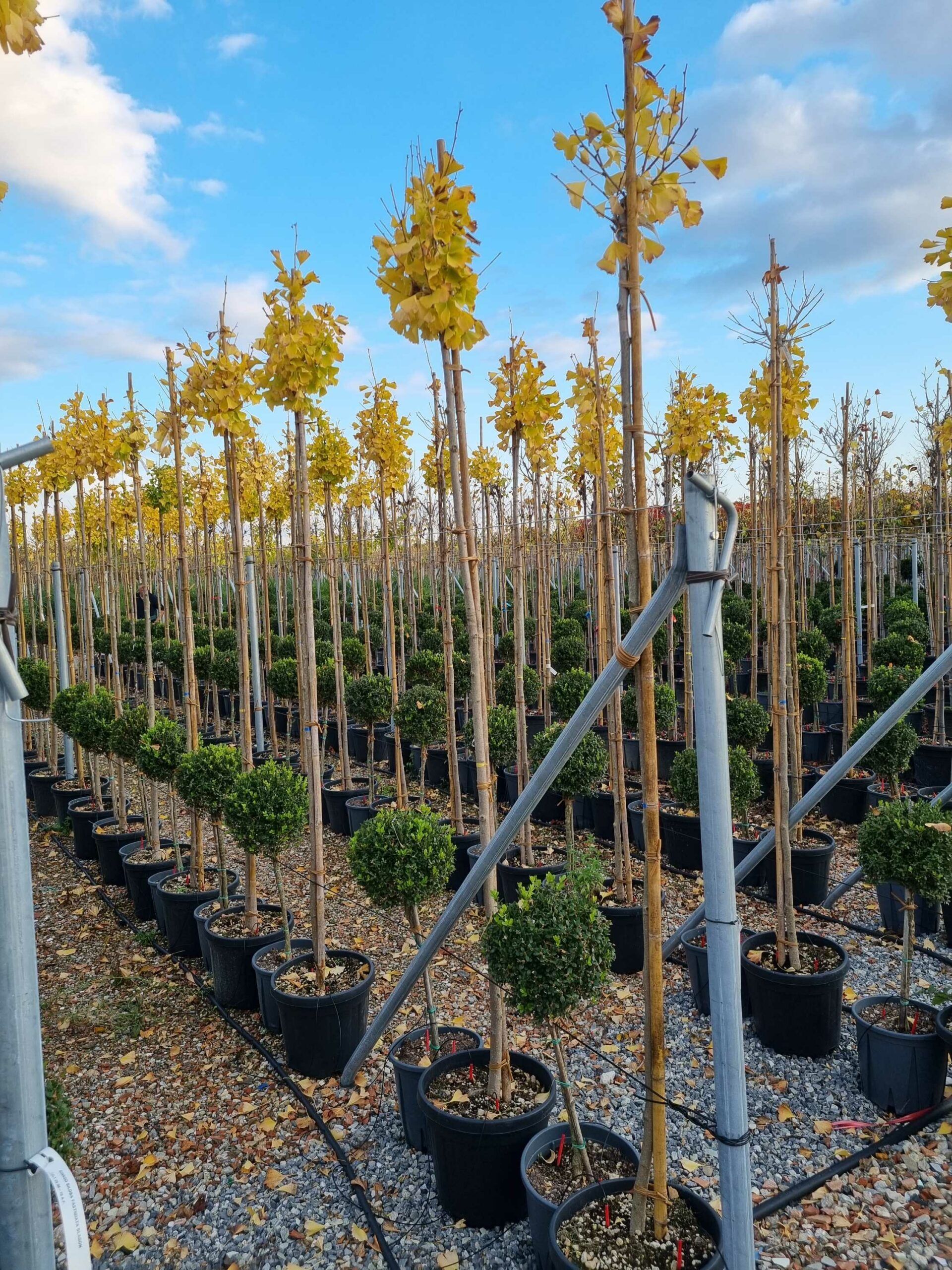 1668438015 scaled ea434ef0