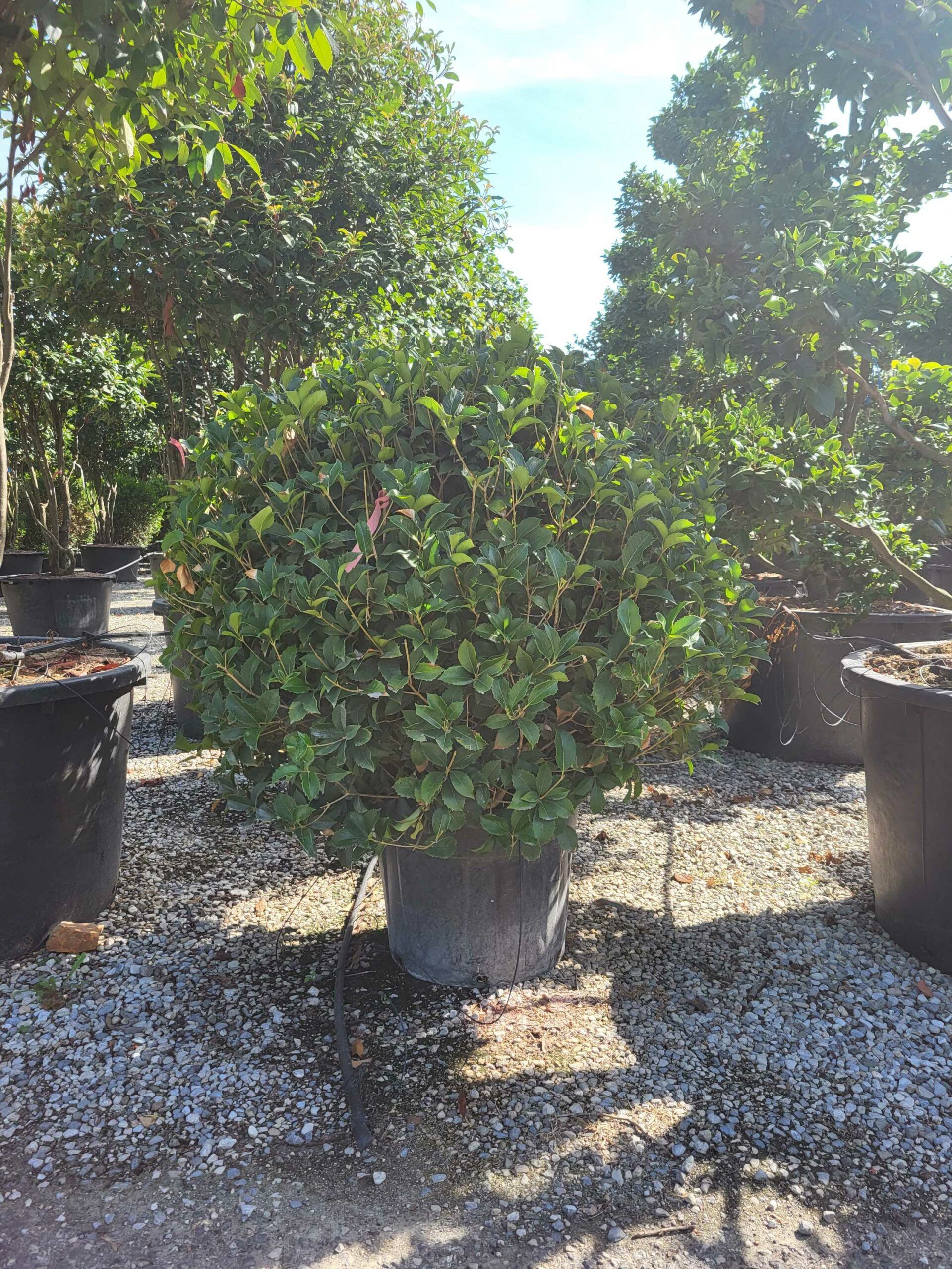 1691591550 scaled ea6e1865