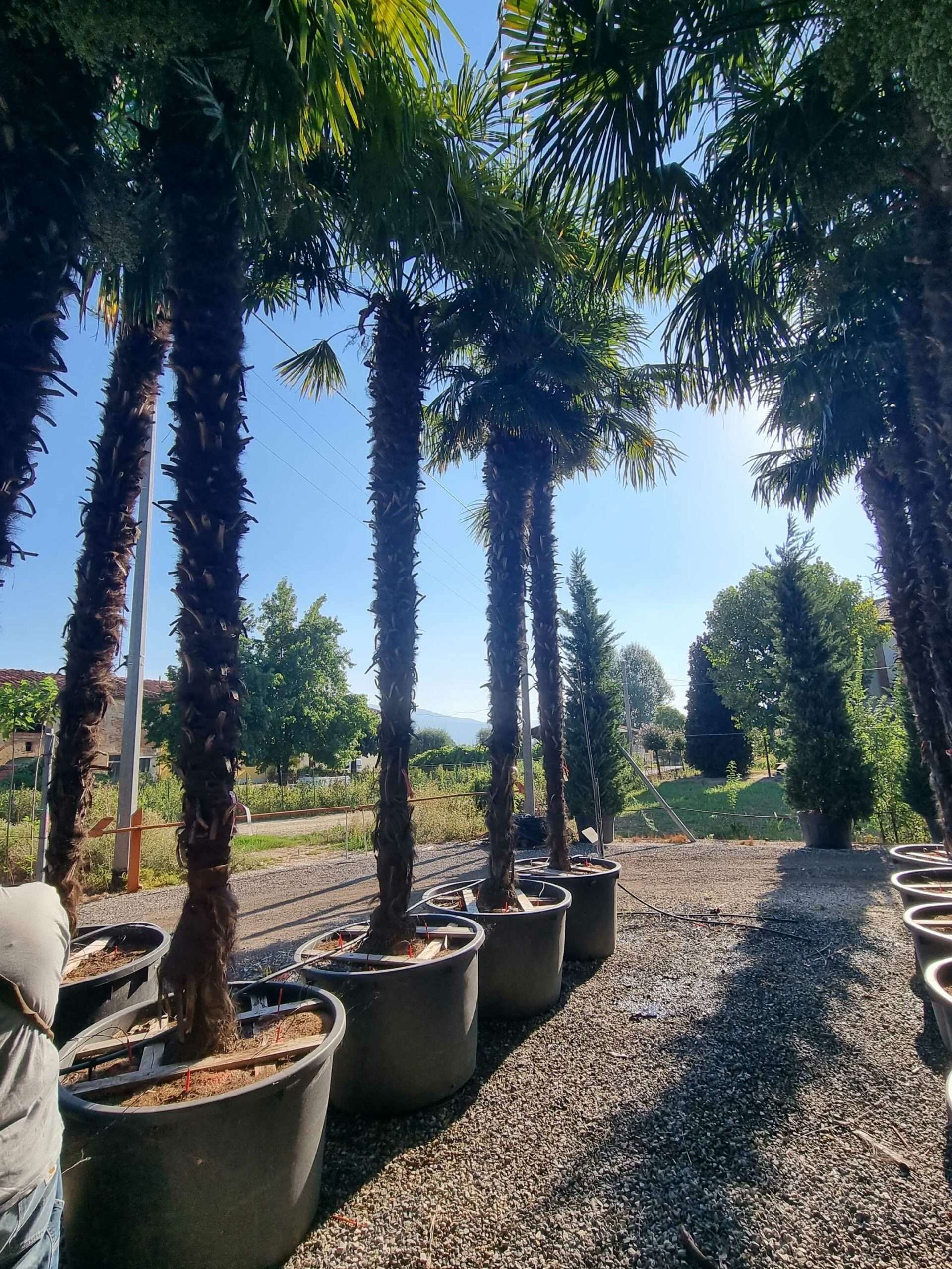 1692687798 scaled eaab81be