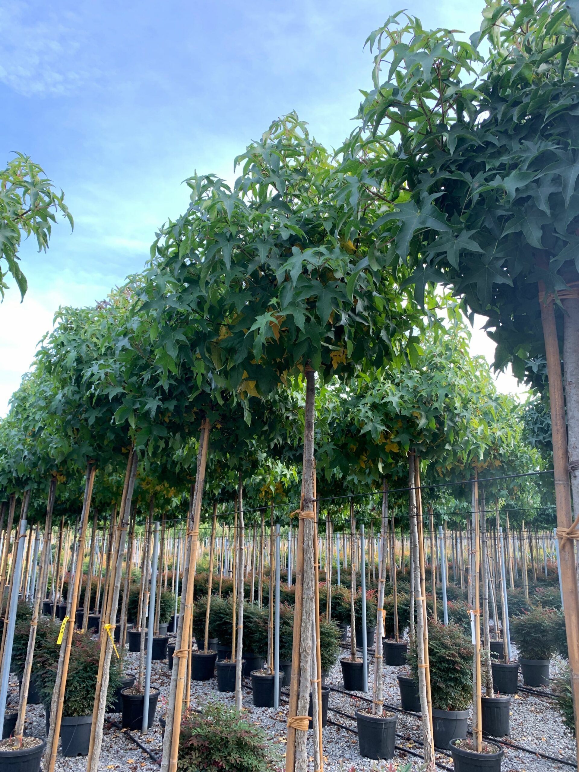 1635170230 scaled eb2d5dd8