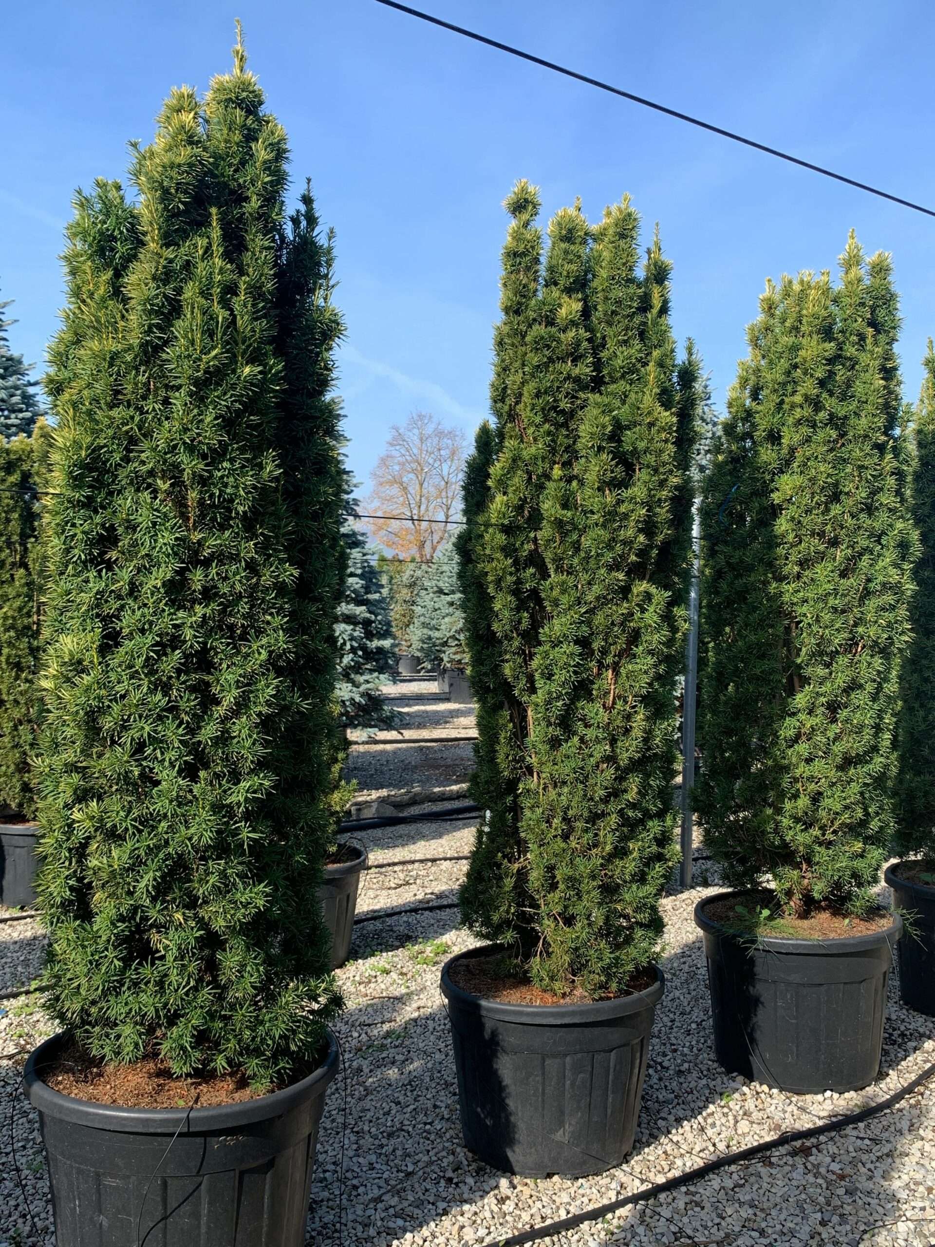 1635502607 scaled ebad94f3