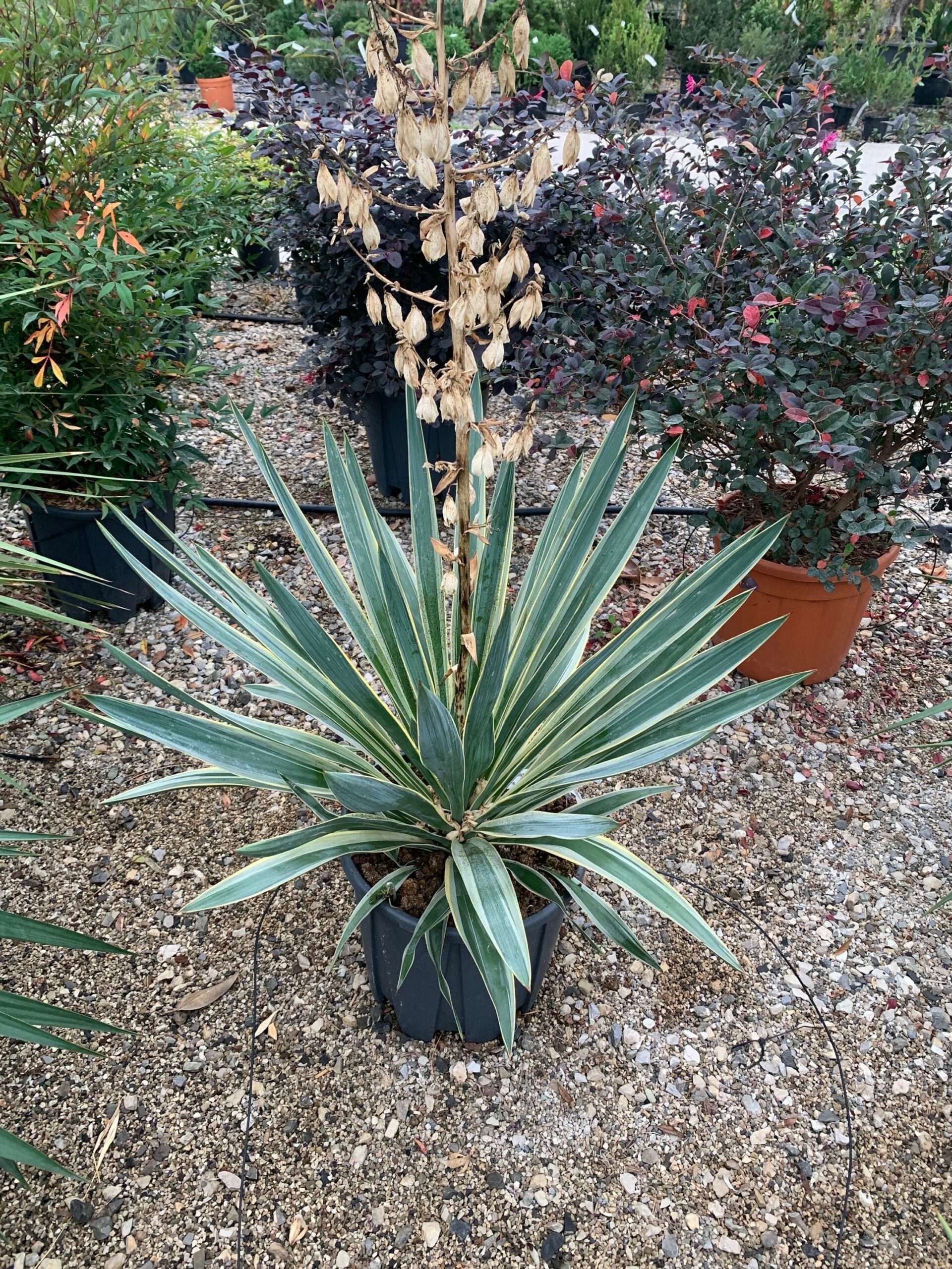 1637056720 scaled ebf0a343