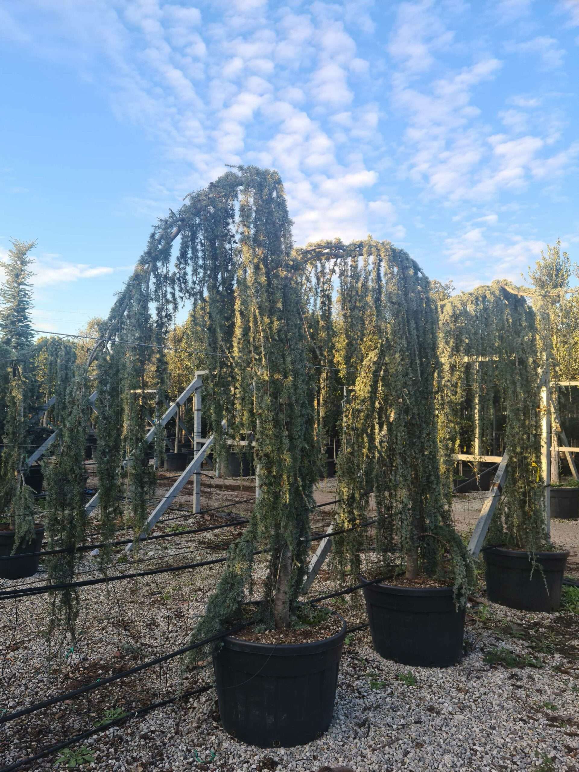 1639405897 scaled ebb293f3