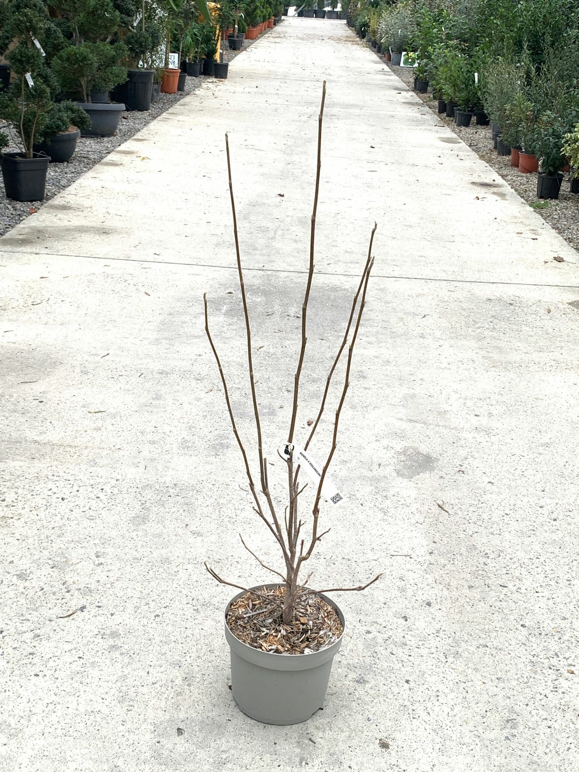 1640095065 scaled eb006956