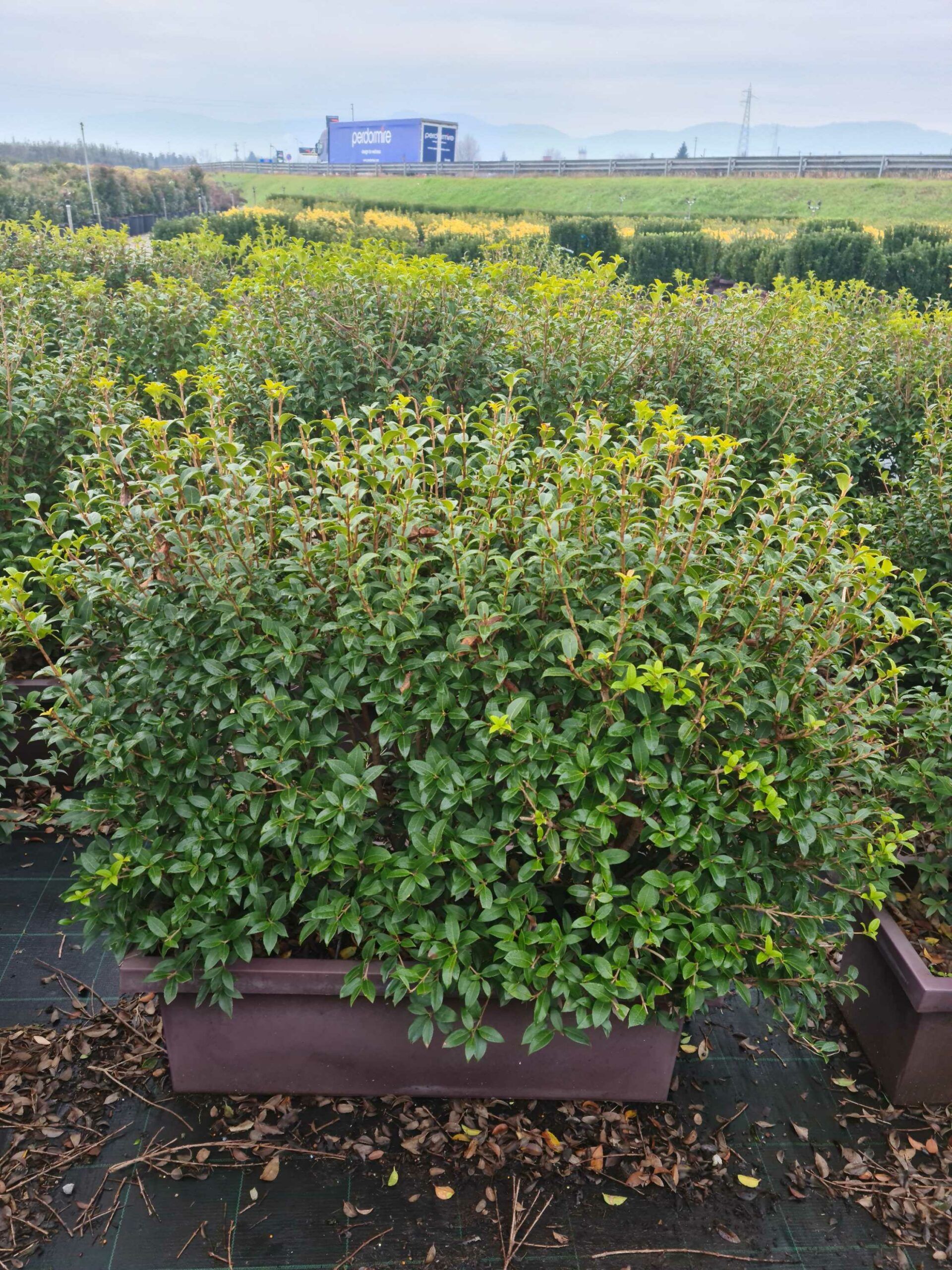 1640248711 scaled eb2835bf