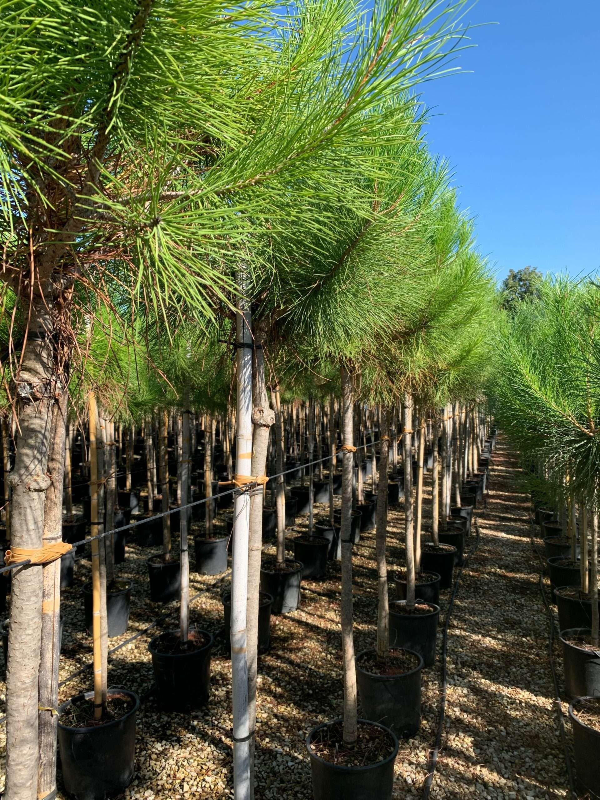 1662452256 scaled ebb18f06