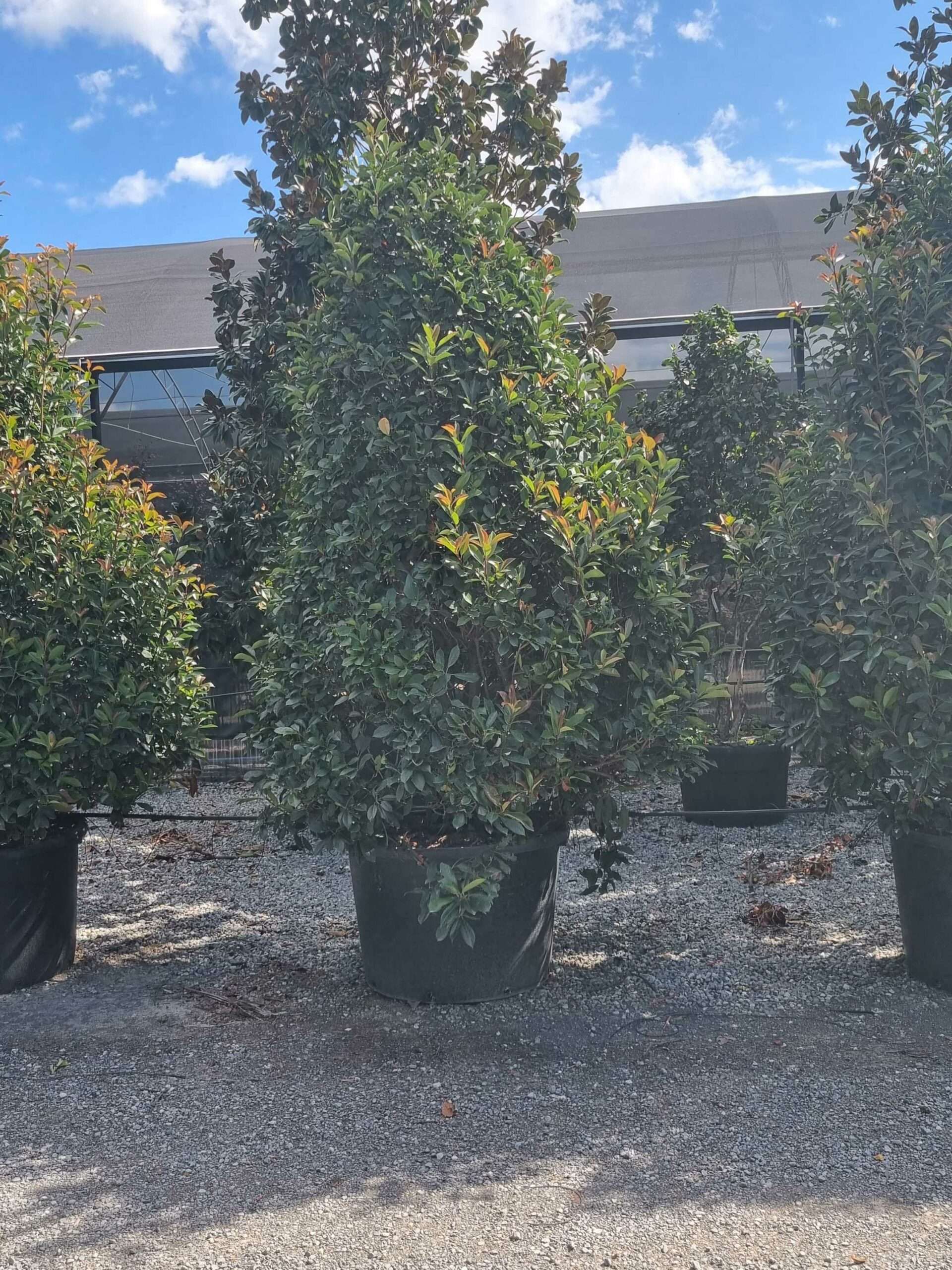 1663580319 1 scaled eb7ad965