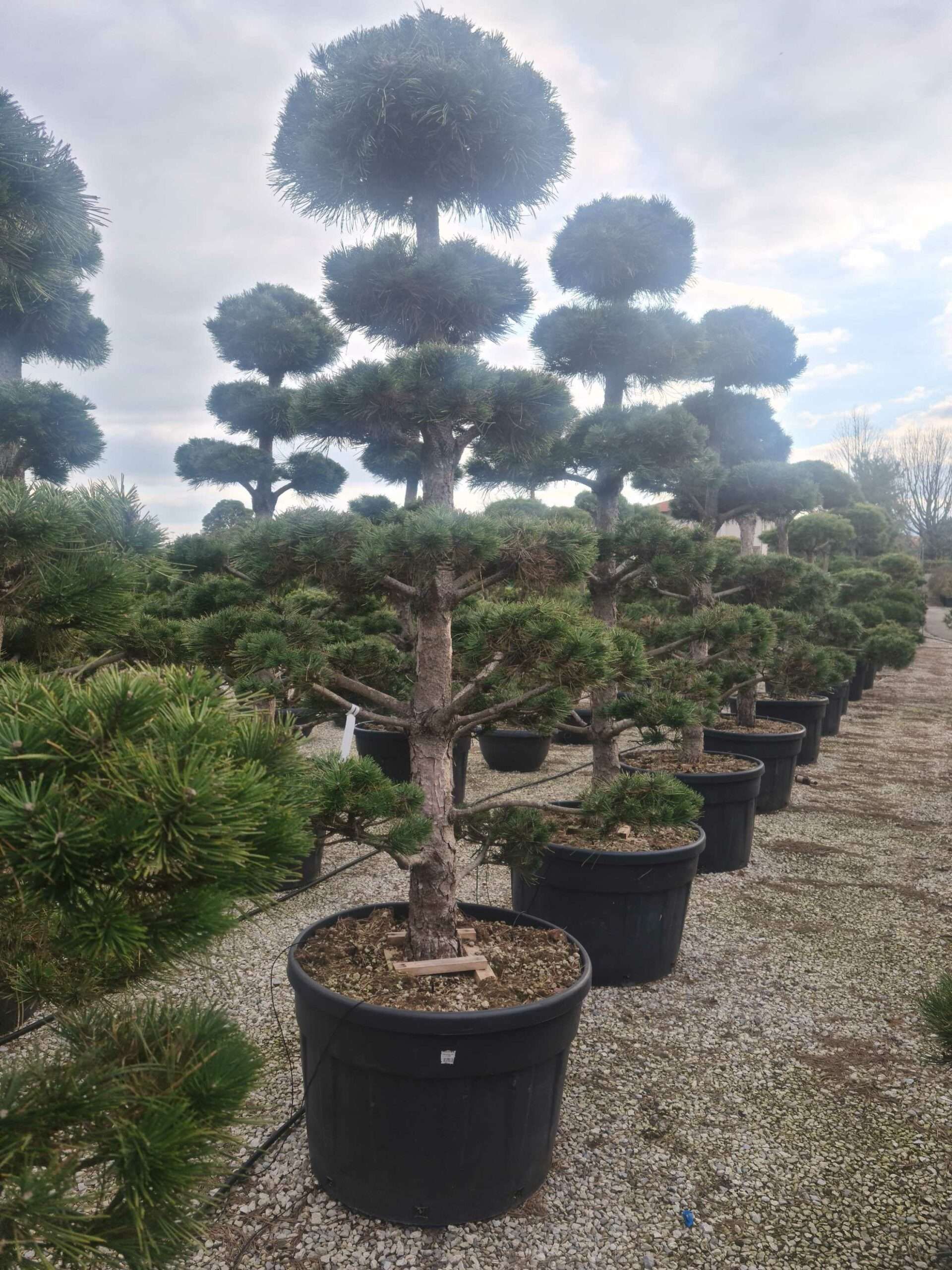 1675435336 scaled eb559786