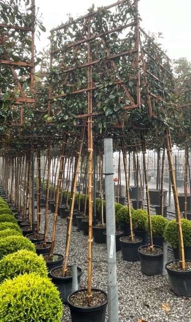 1680759099 1 ebb0b057