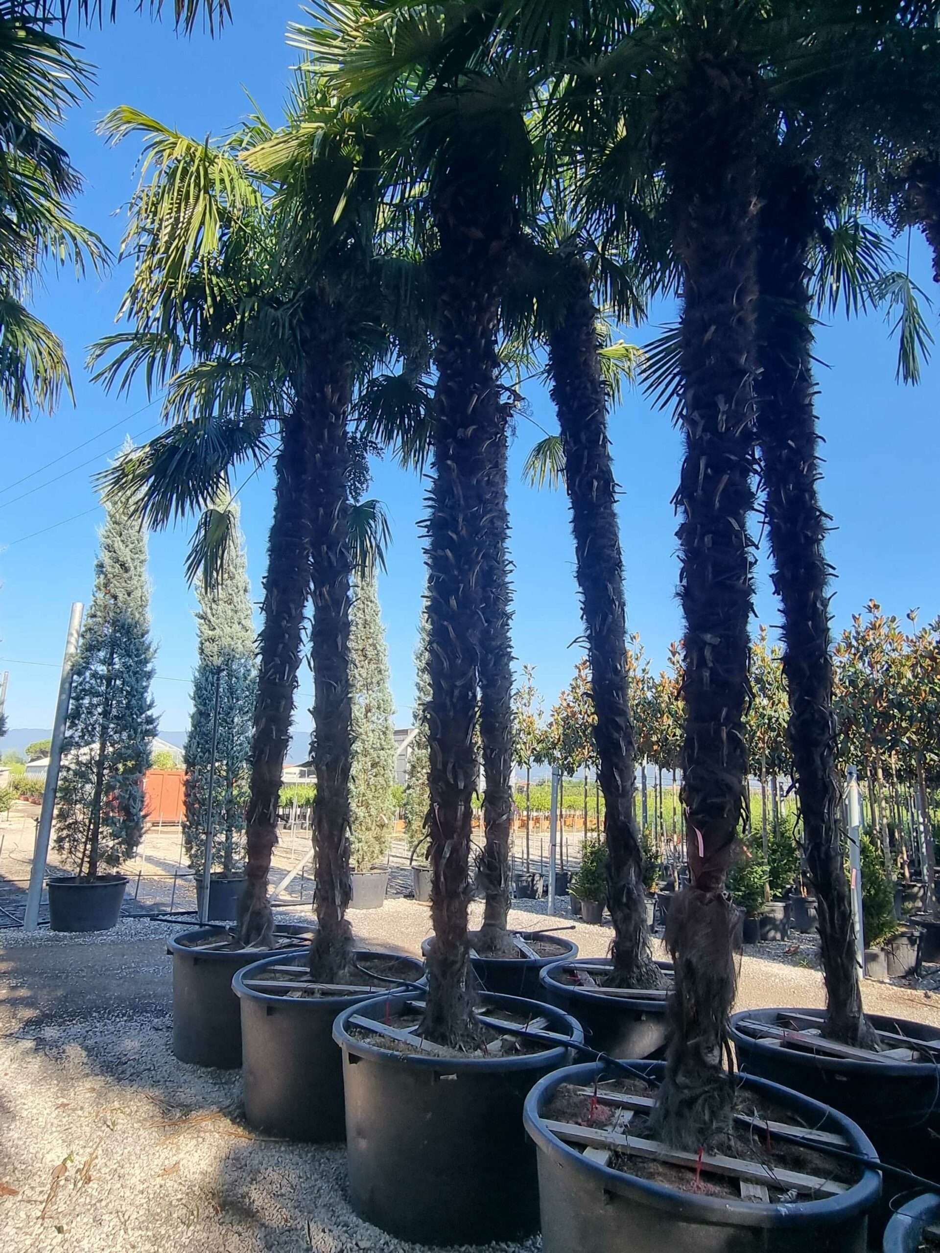 1692687902 1 scaled ebc6c56f