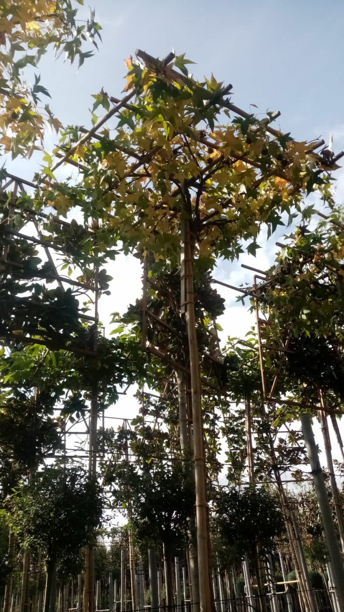 1698053905 scaled ebf56c10