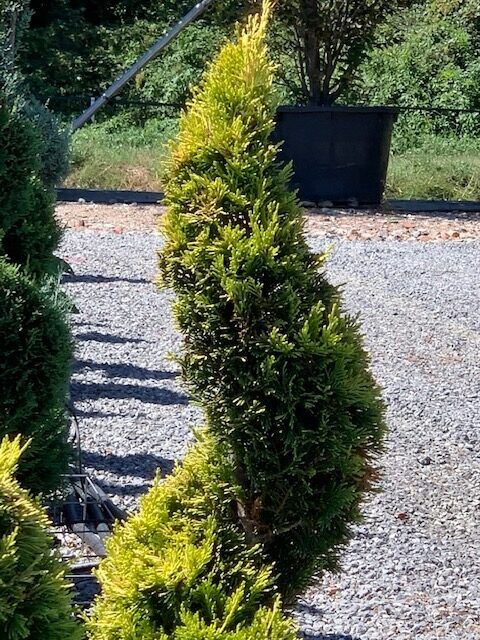 1608062415 rotated ecd90d12