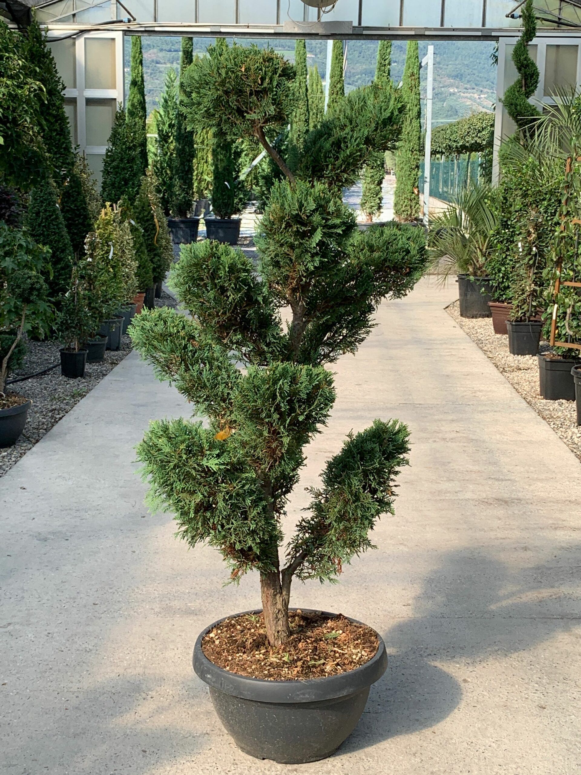 1632836257 scaled ec608b87