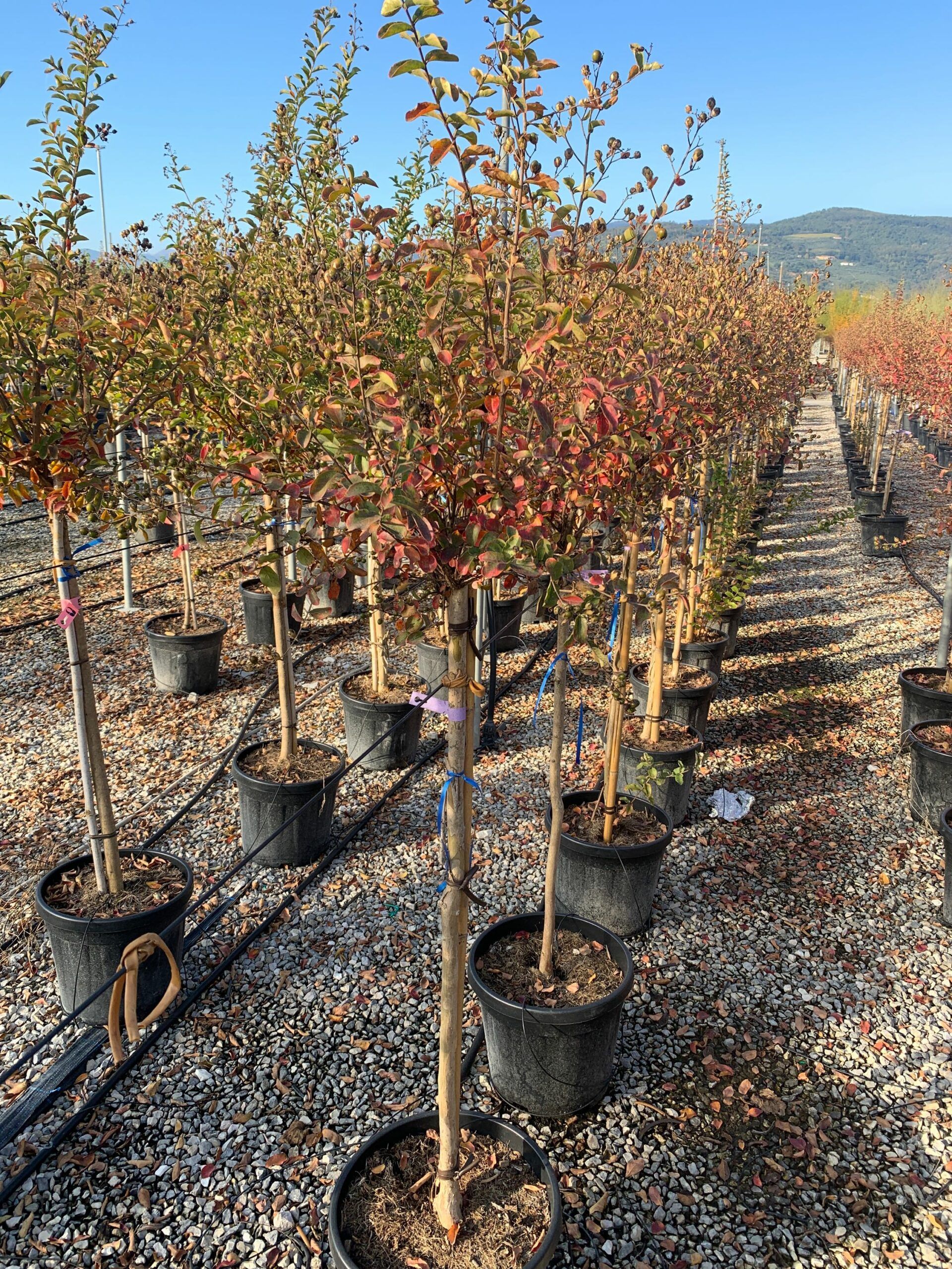 1635430227 scaled ec76dbbe