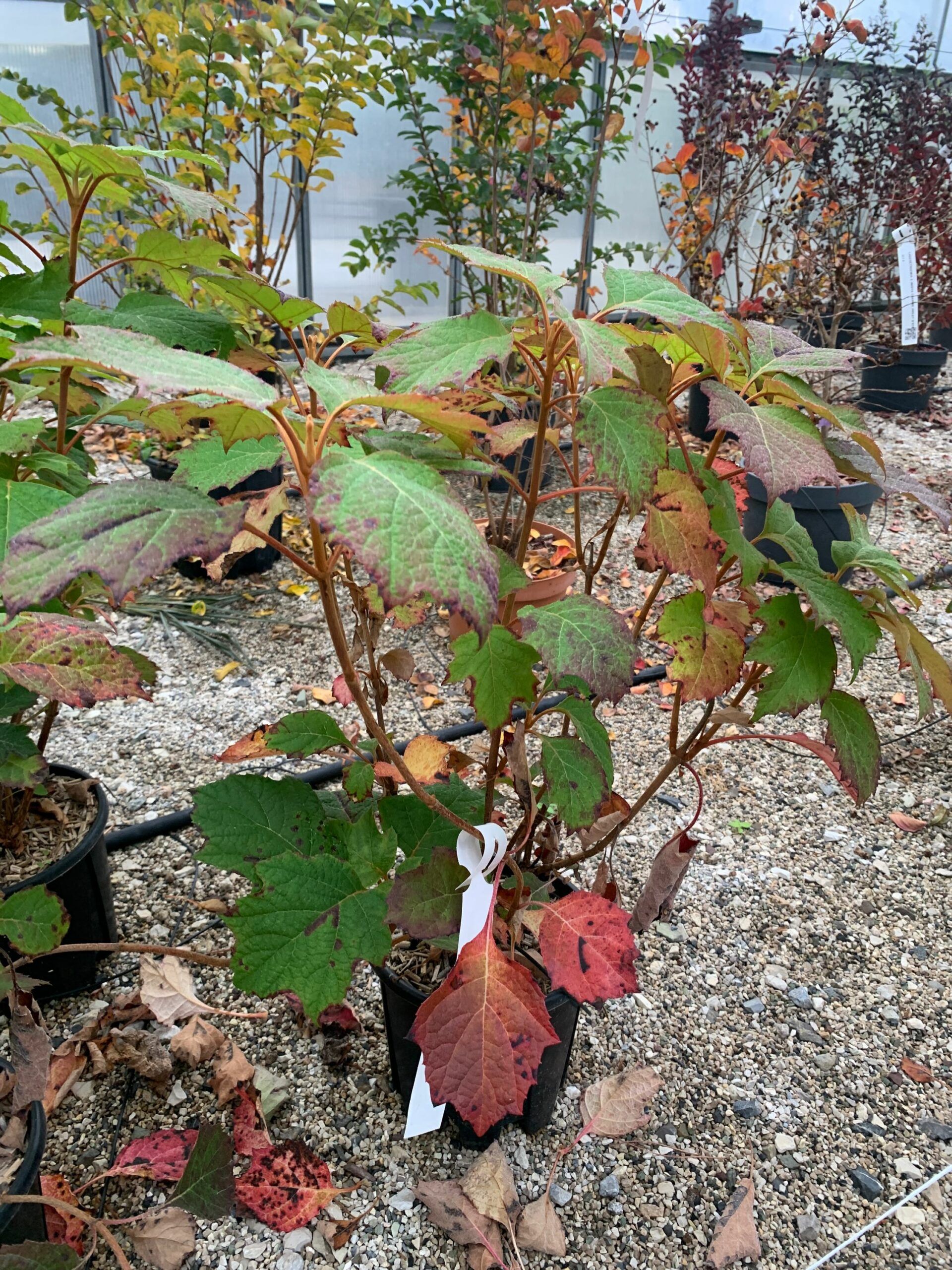 1636970119 scaled ecabcb7c