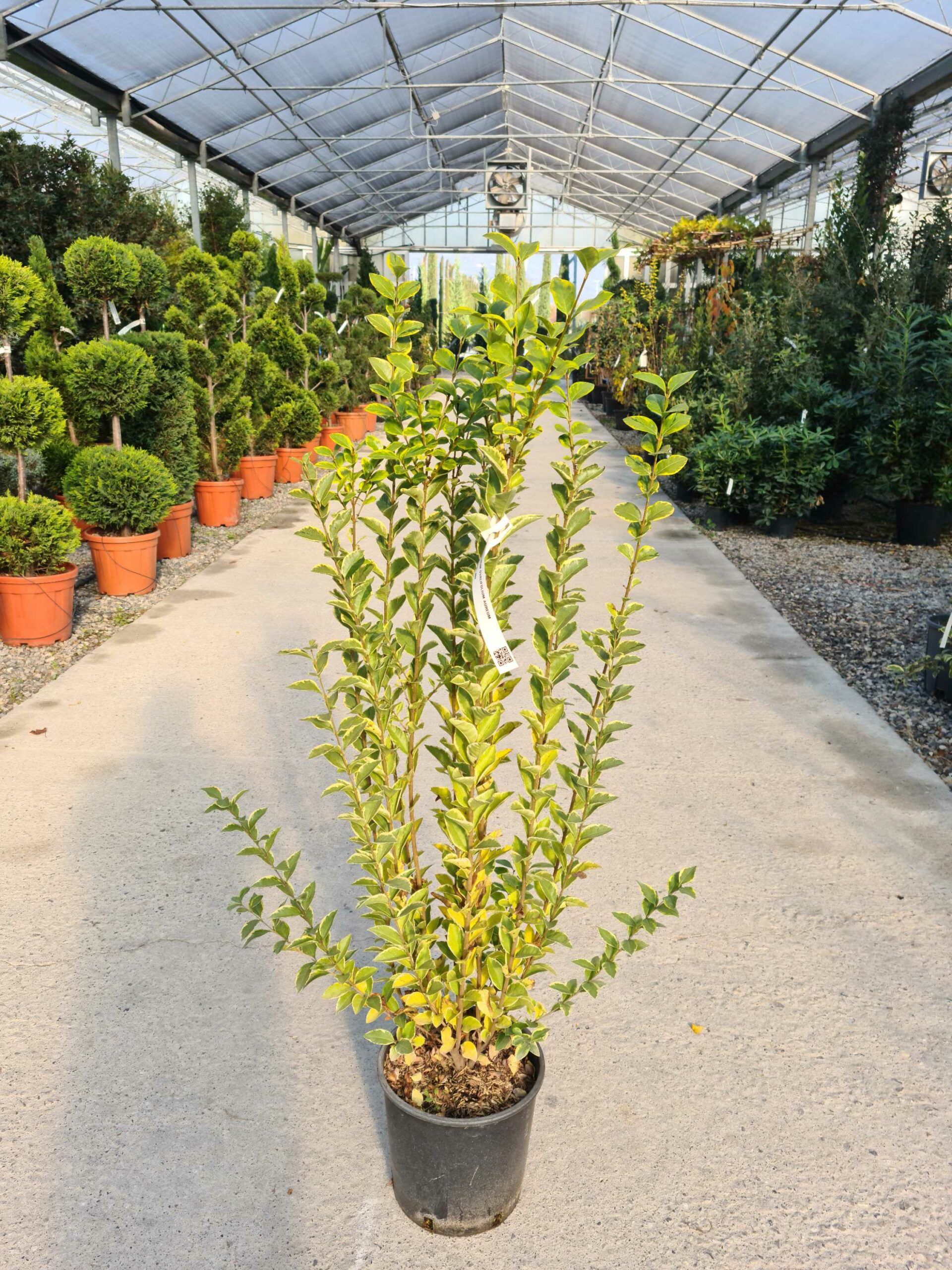 1639478070 scaled ec588167