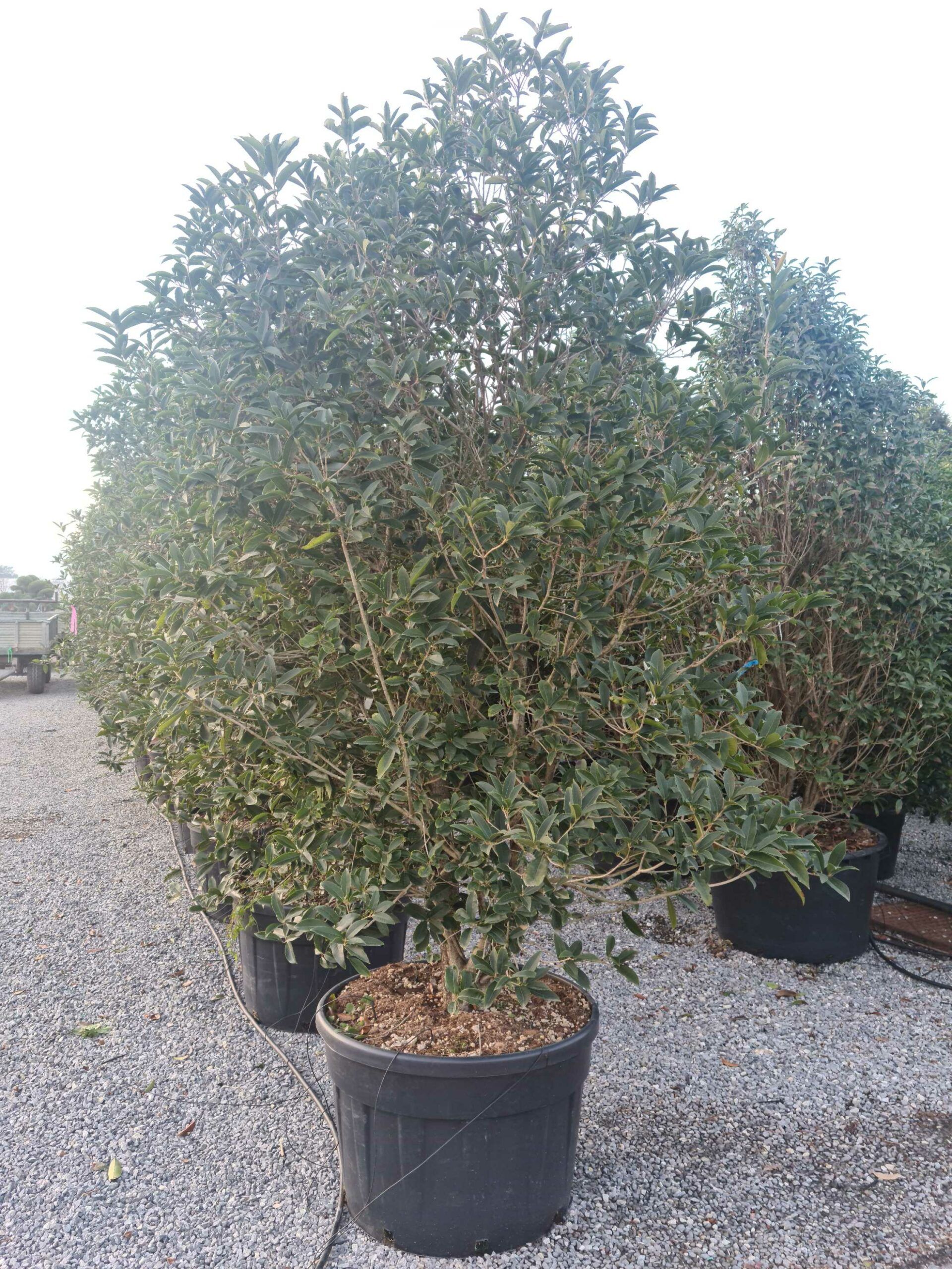 1639494551 scaled ec61d591