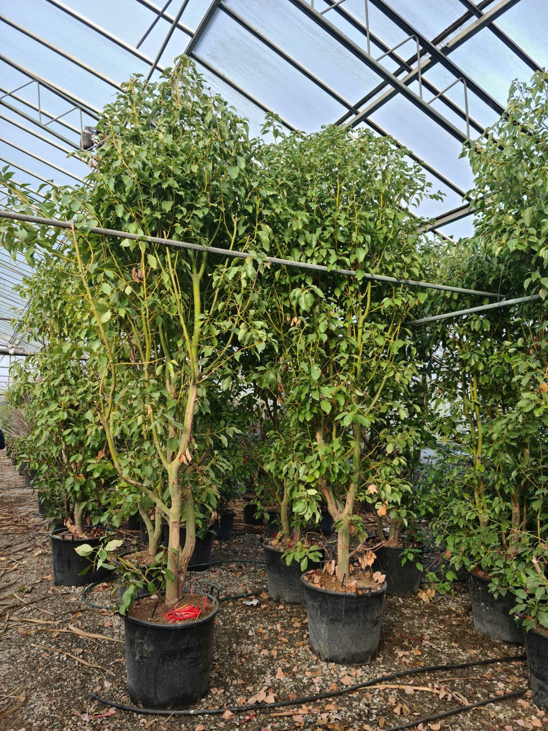 1642755124 scaled ec4dcd2d