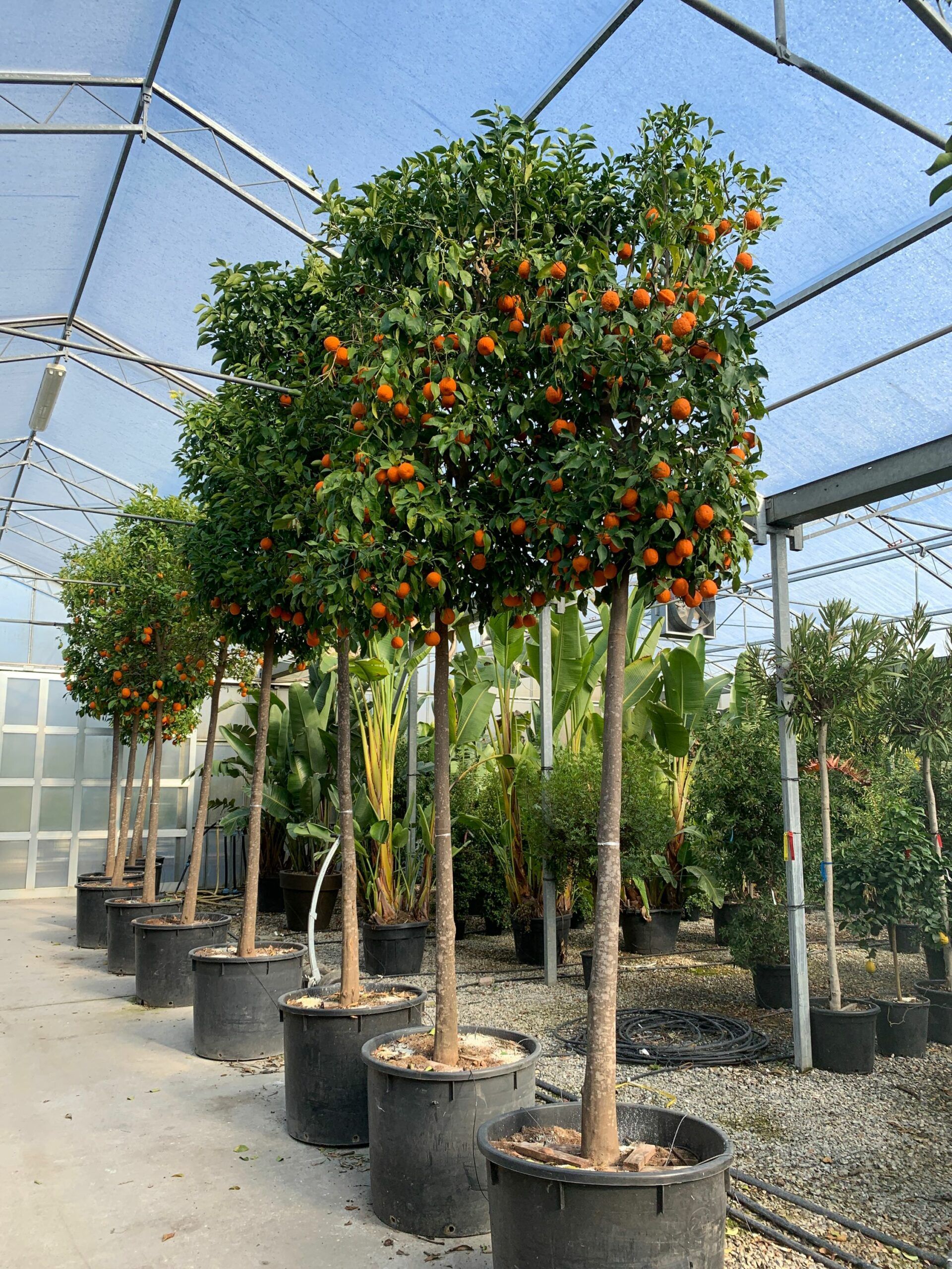 1643713369 scaled ecc0bc27