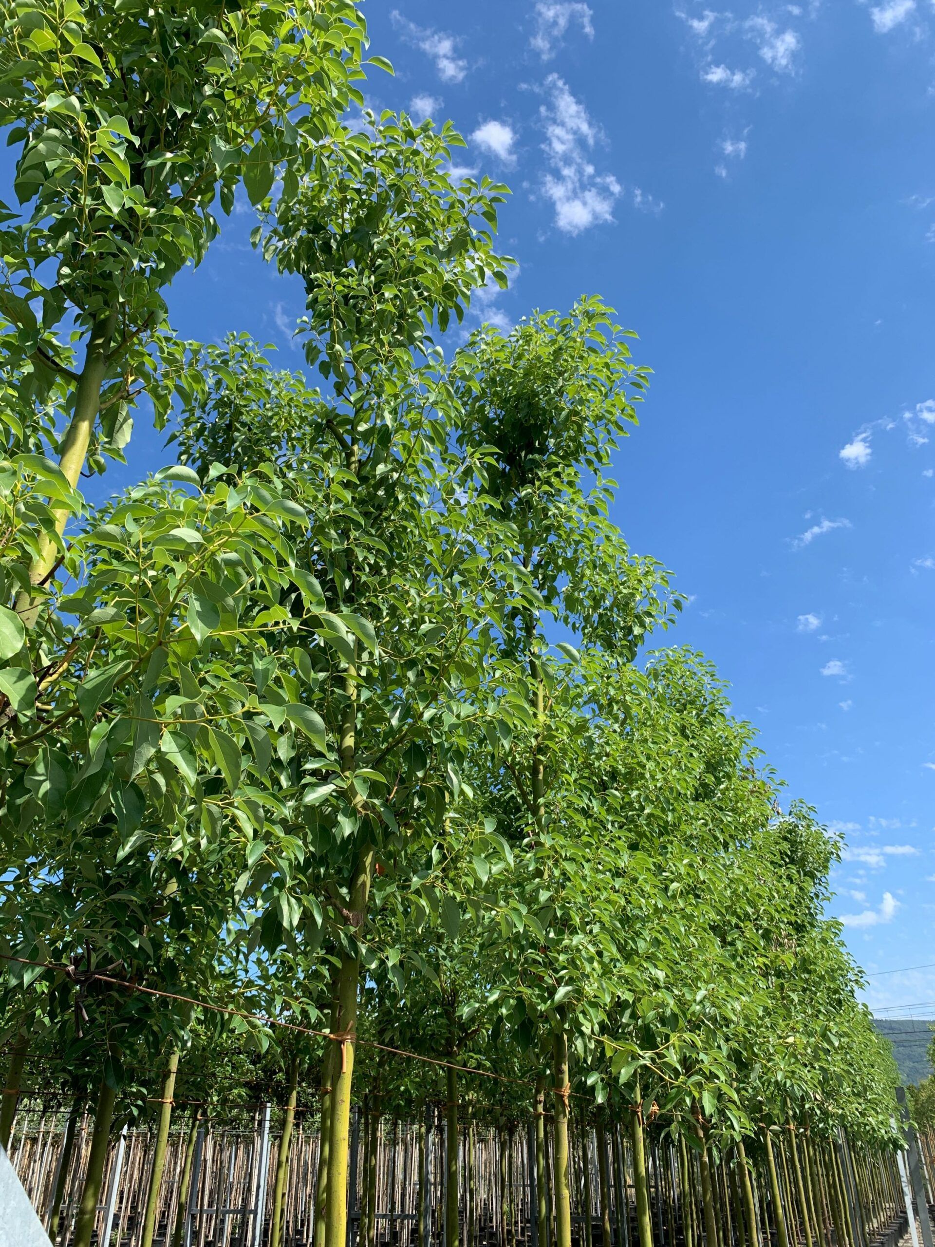 1657528480 scaled ec5e65d9