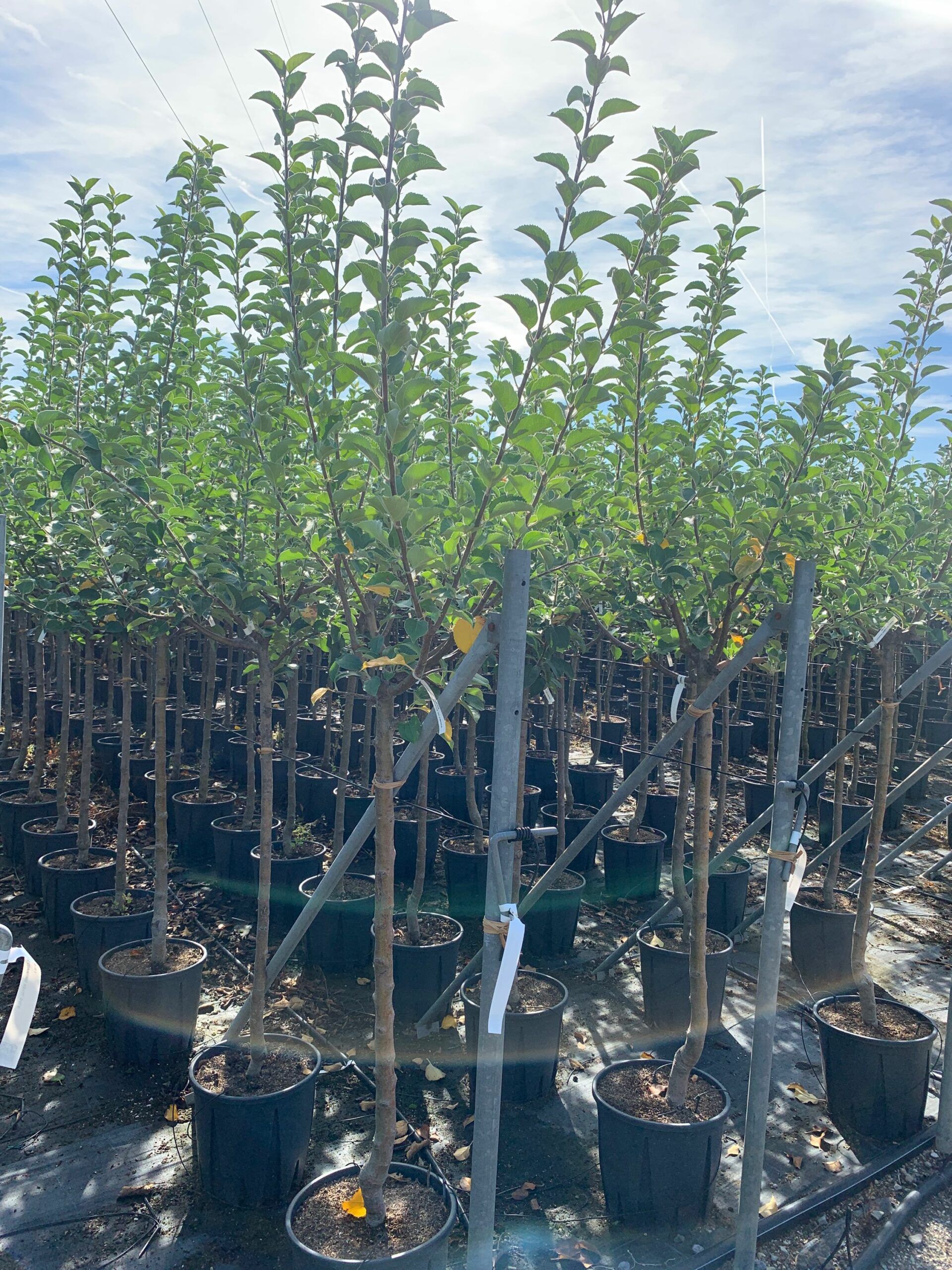 1662365212 scaled ec83b857