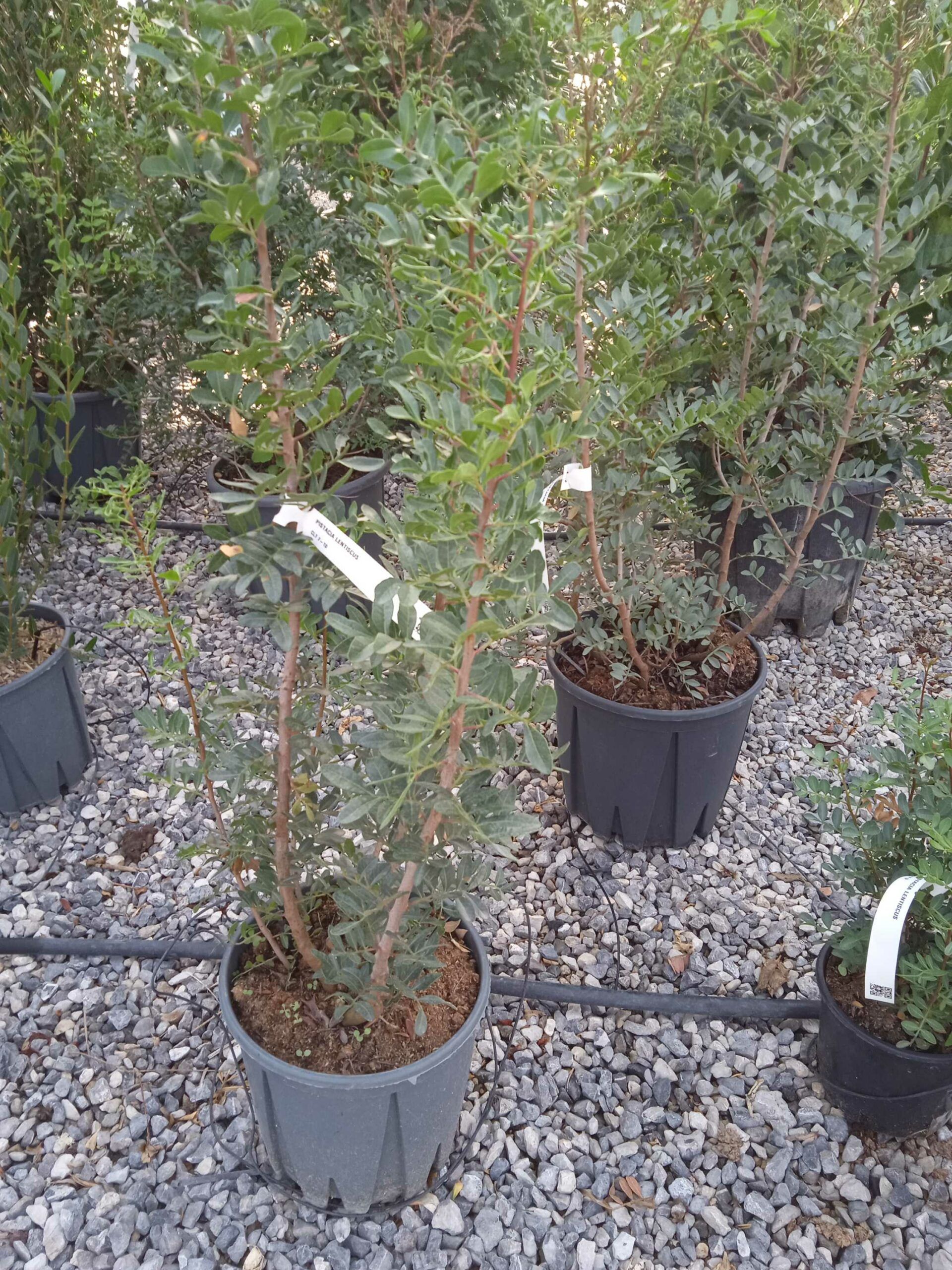 1662446685 scaled eccb01a7