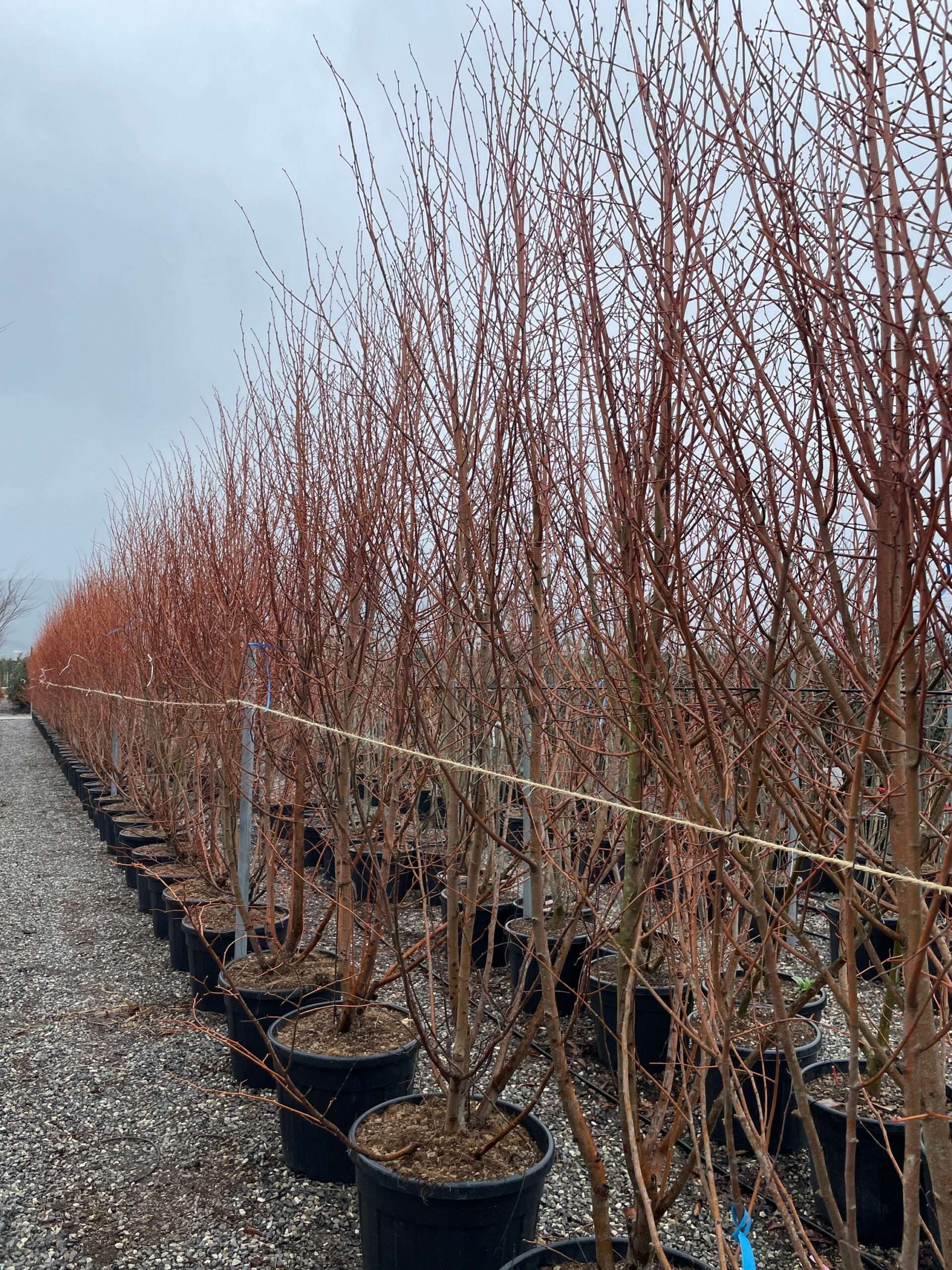 1677403592 scaled ecc0fa53